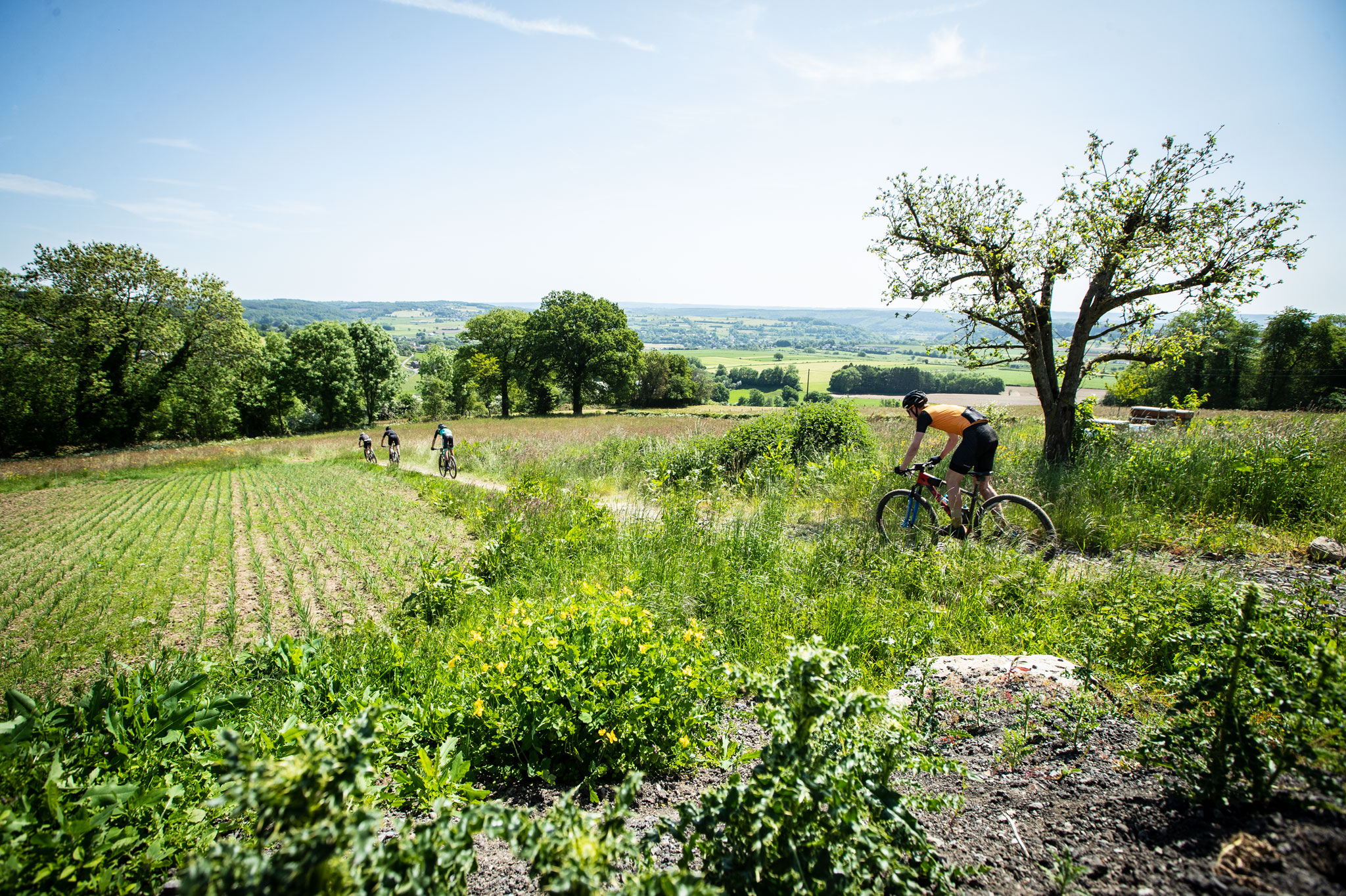 BAMS 2023 | Ardennes Trophy : soleil, stars et cartes postales