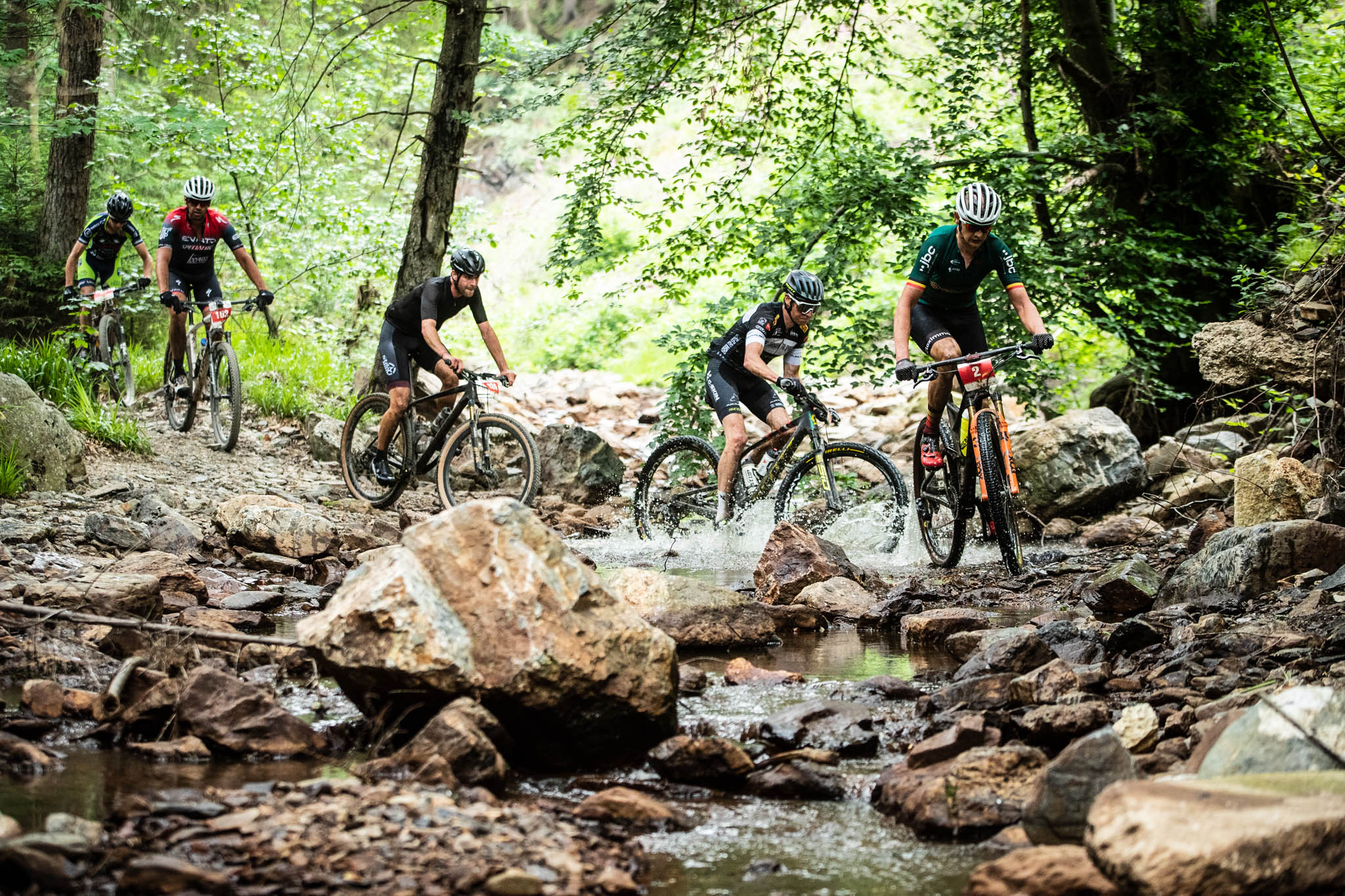 BAMS 2022 | Raid des Hautes Fagnes : course à élimination