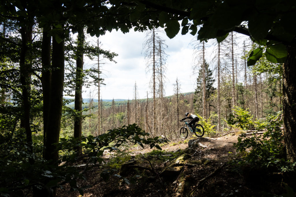 Image d'illustration de l'article : Semoy : l'espace enduro labellisé, c'est pour bientôt !
