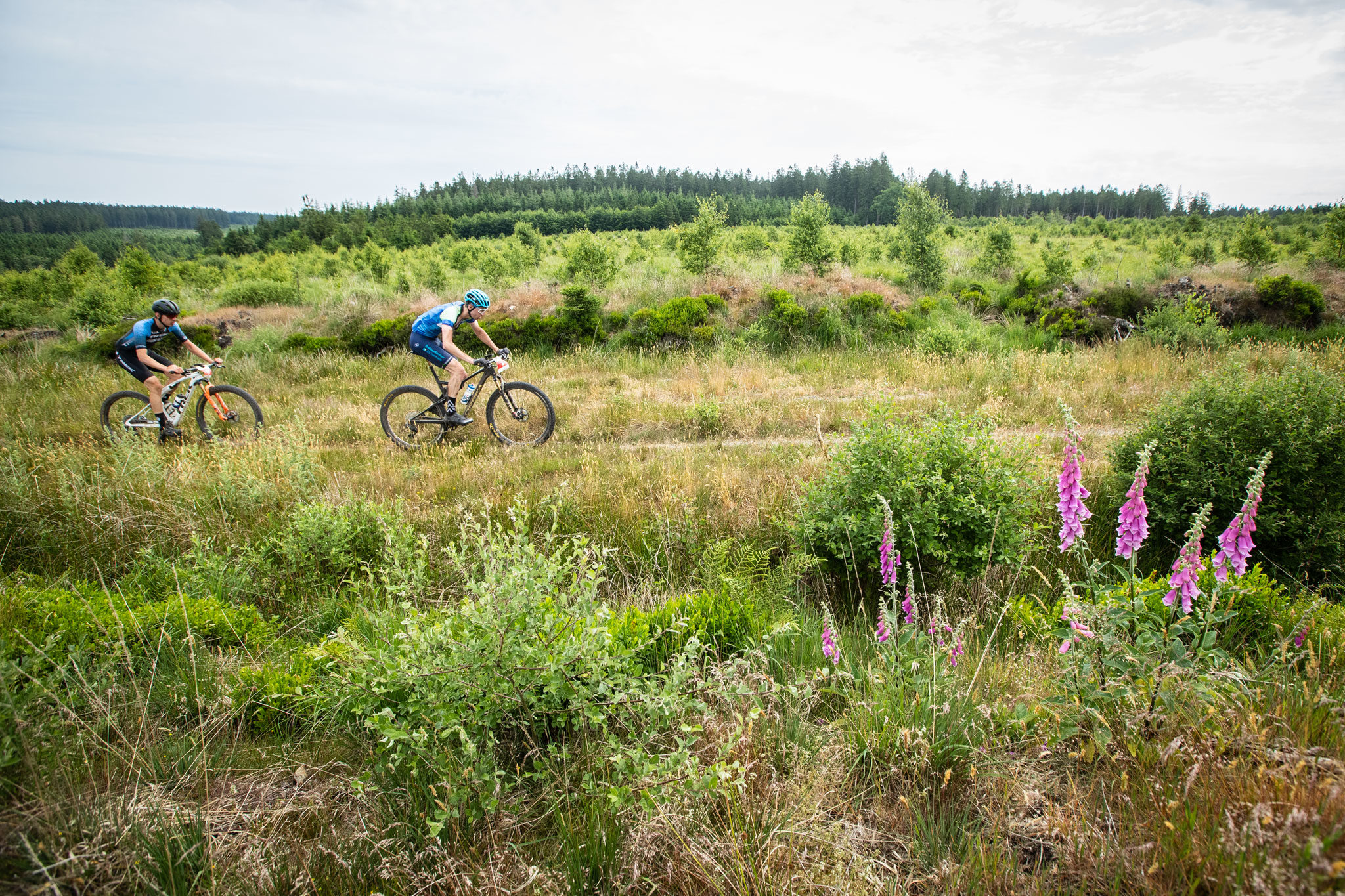 BAMS 2023 | Raid des Hautes Fagnes : le renouveau d’un monument