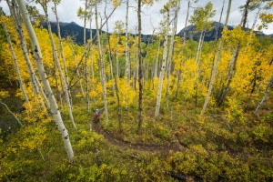 L’automne dans le Colorado