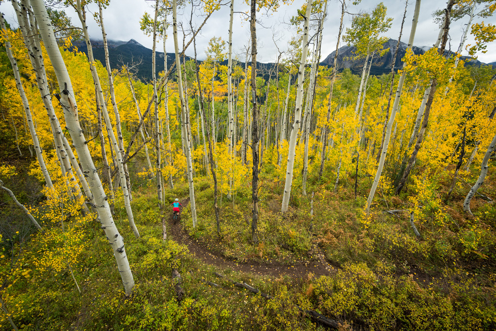 L’automne dans le Colorado