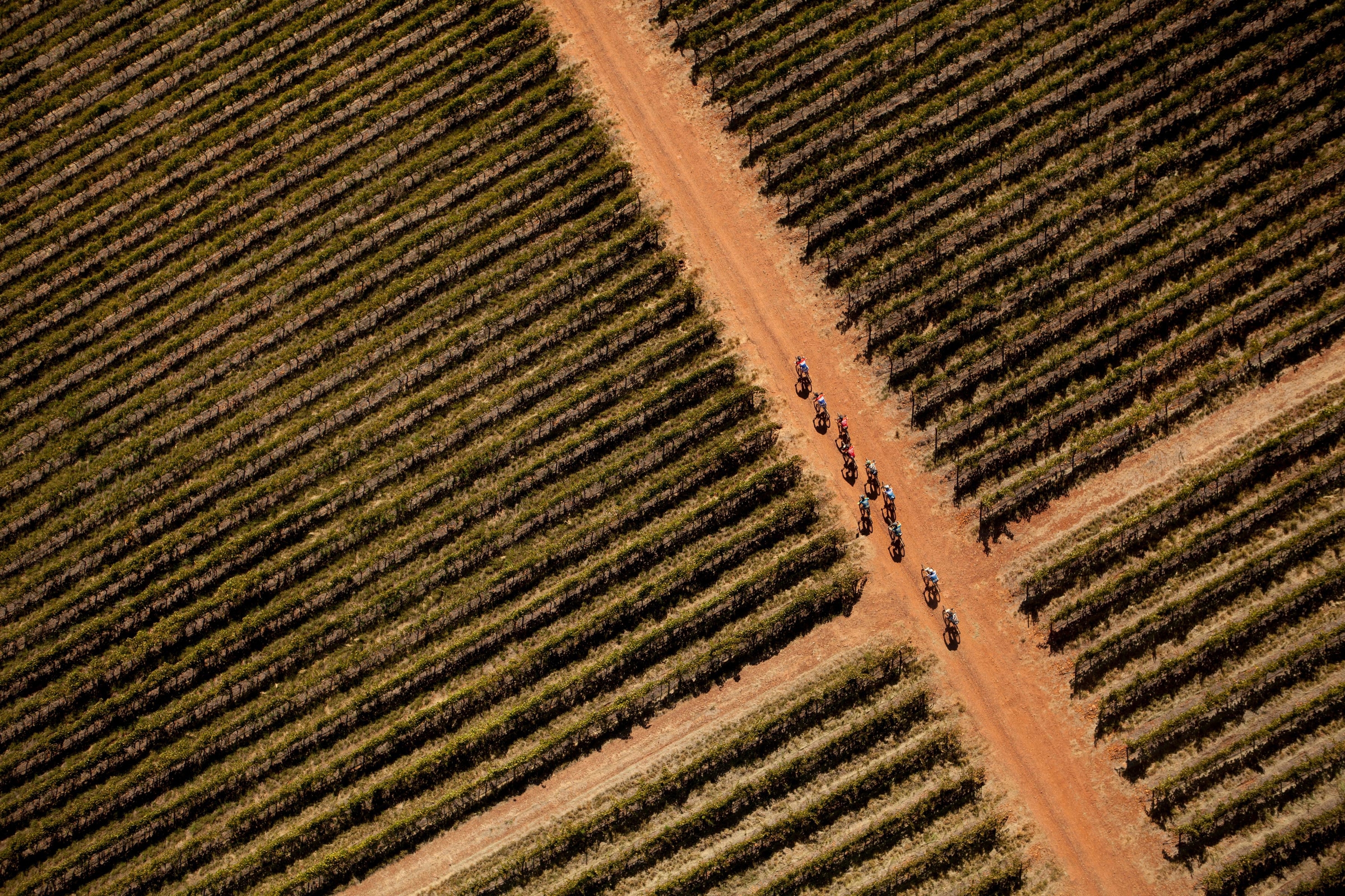 Absa Cape Epic 2015 Stage 3 Elgin to Worcester