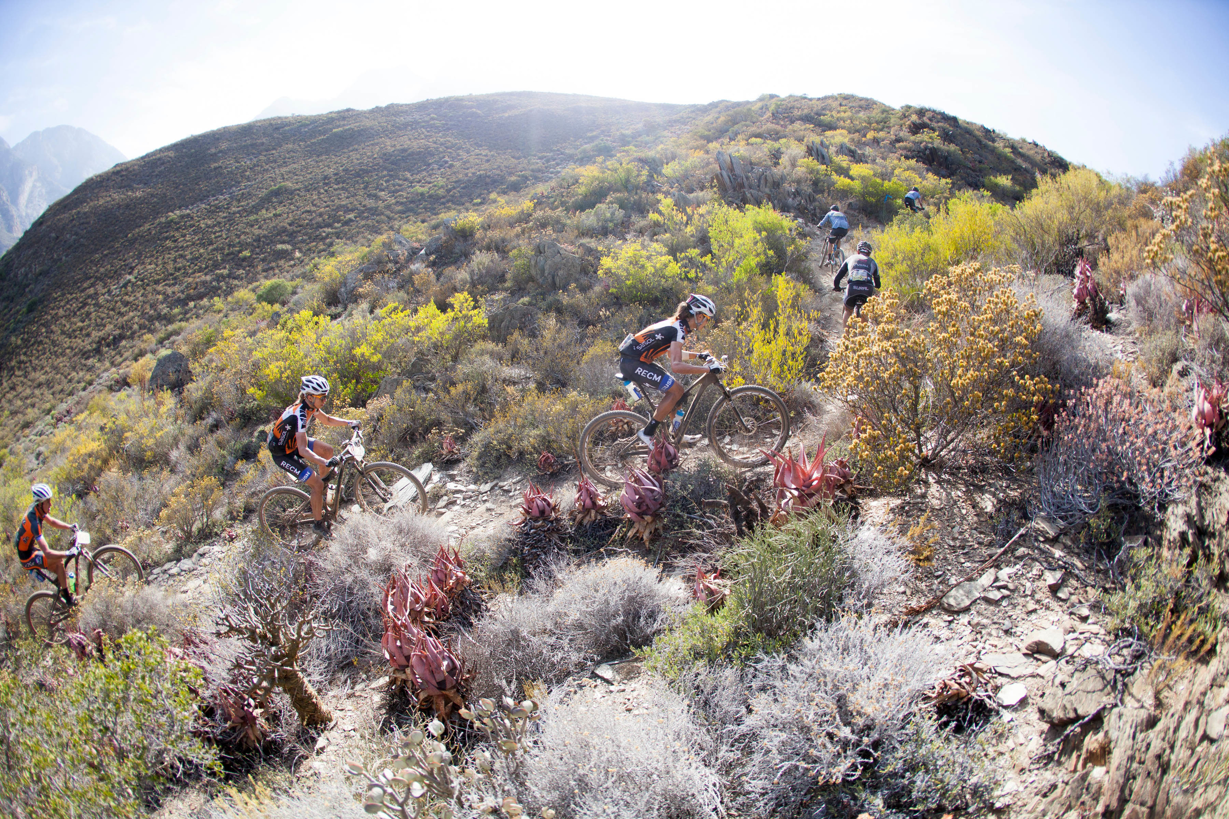 Absa Cape Epic 2015 Stage 4 Worcester