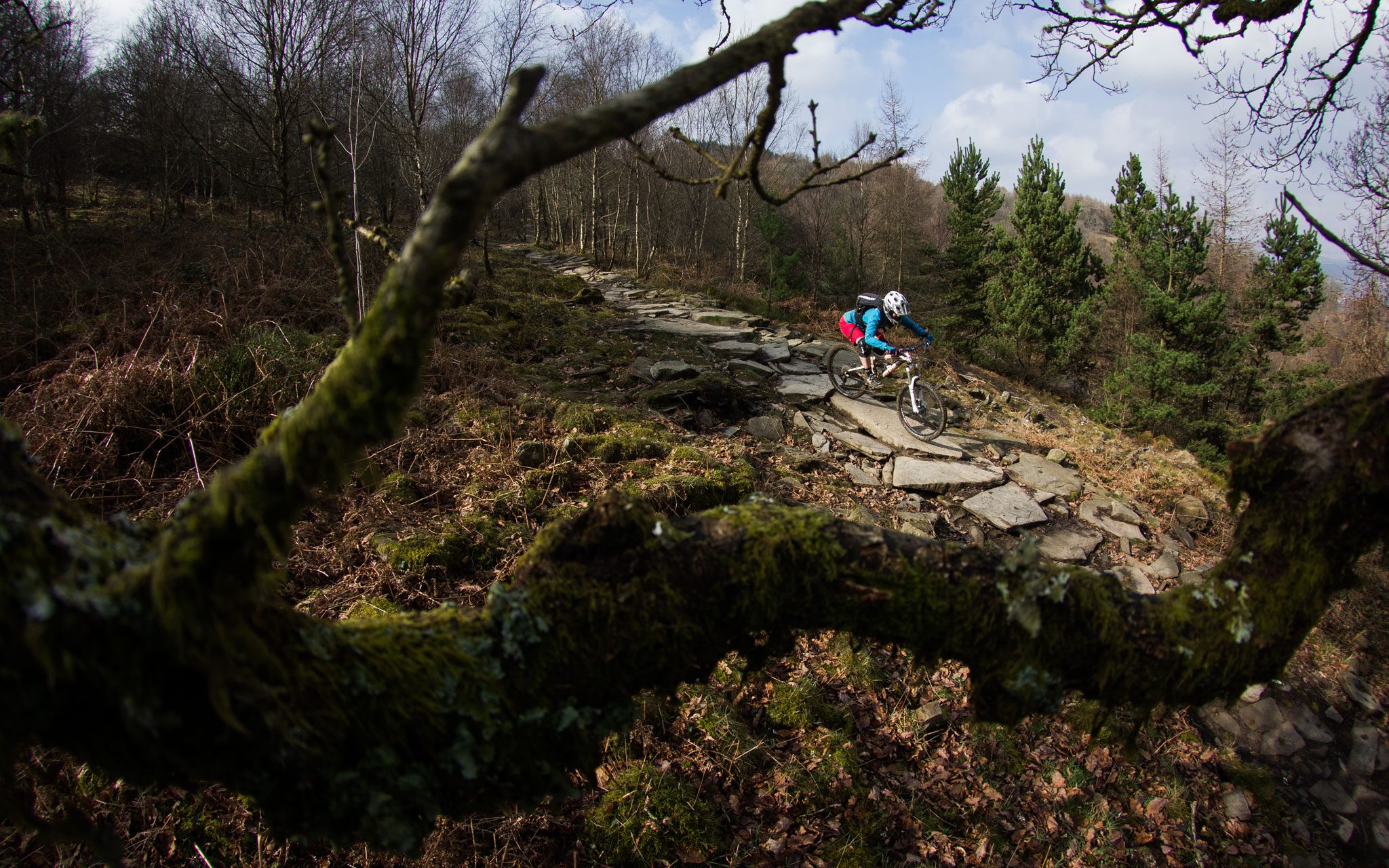 BikePark Wales, le joyau gallois