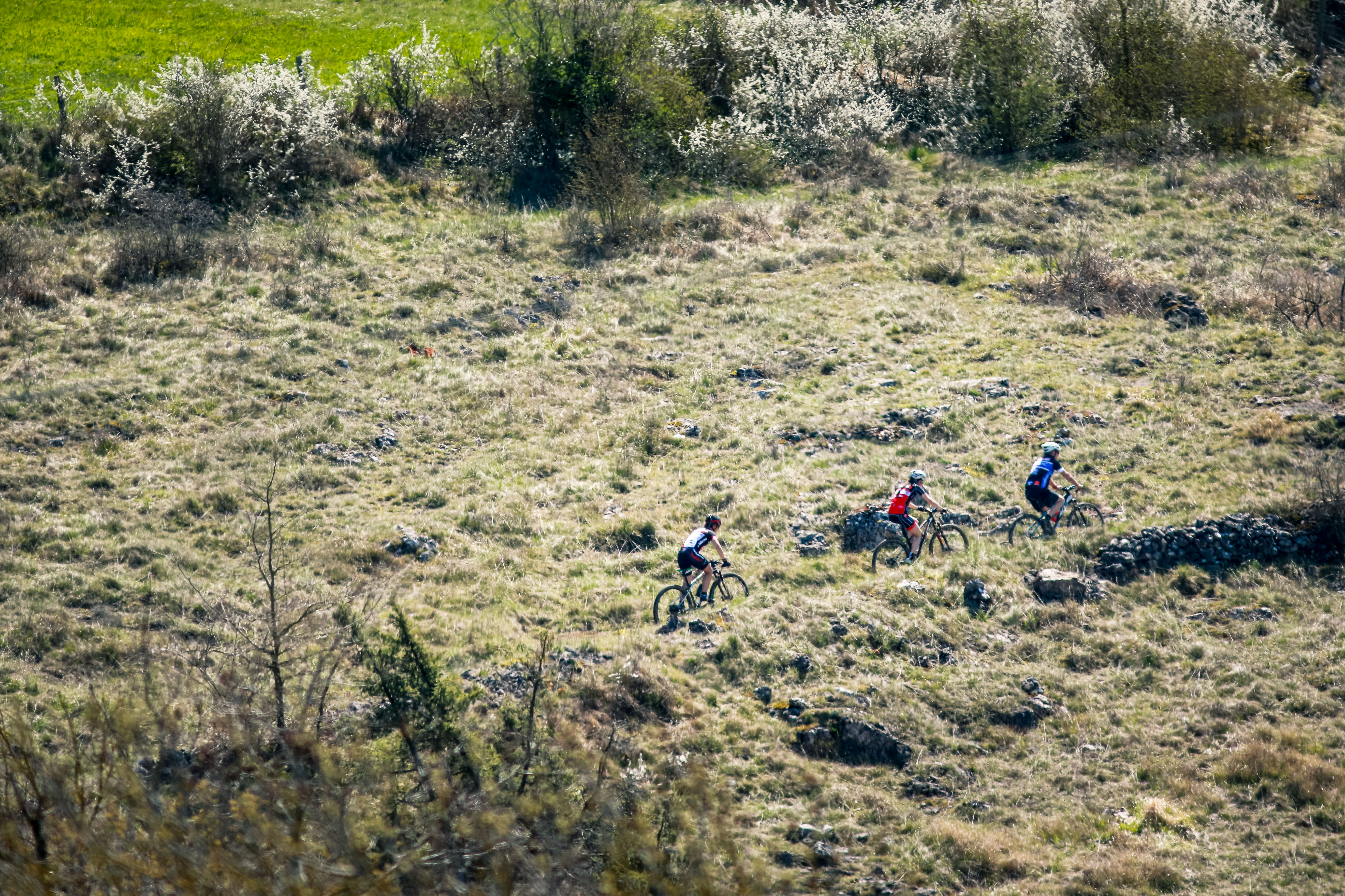 reconnaissance_Laissac_marathon_Copyright_Machabert-17-2