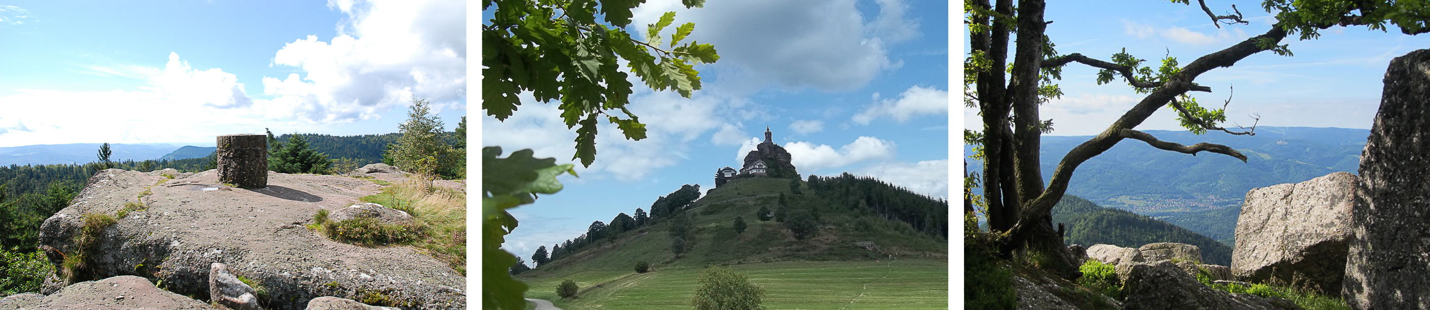 1-Elsass_Bike_2015