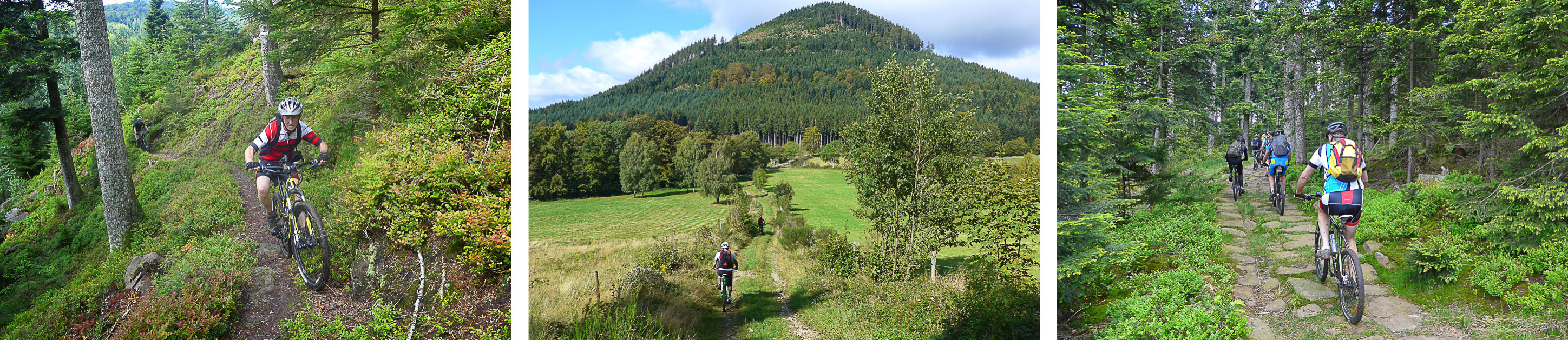 3-Elsass_Bike_2015