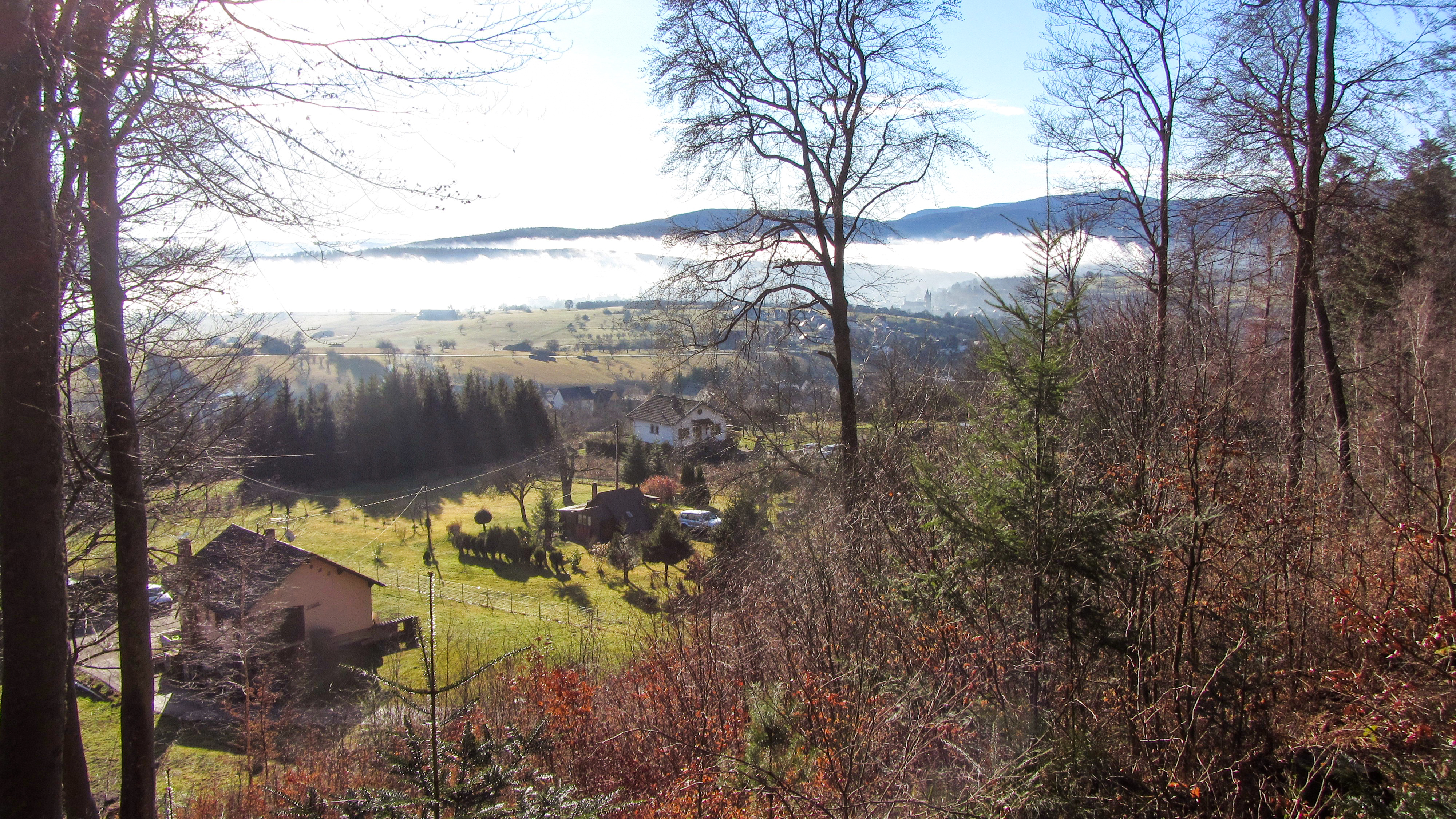 Elsass_Bike_2015-12