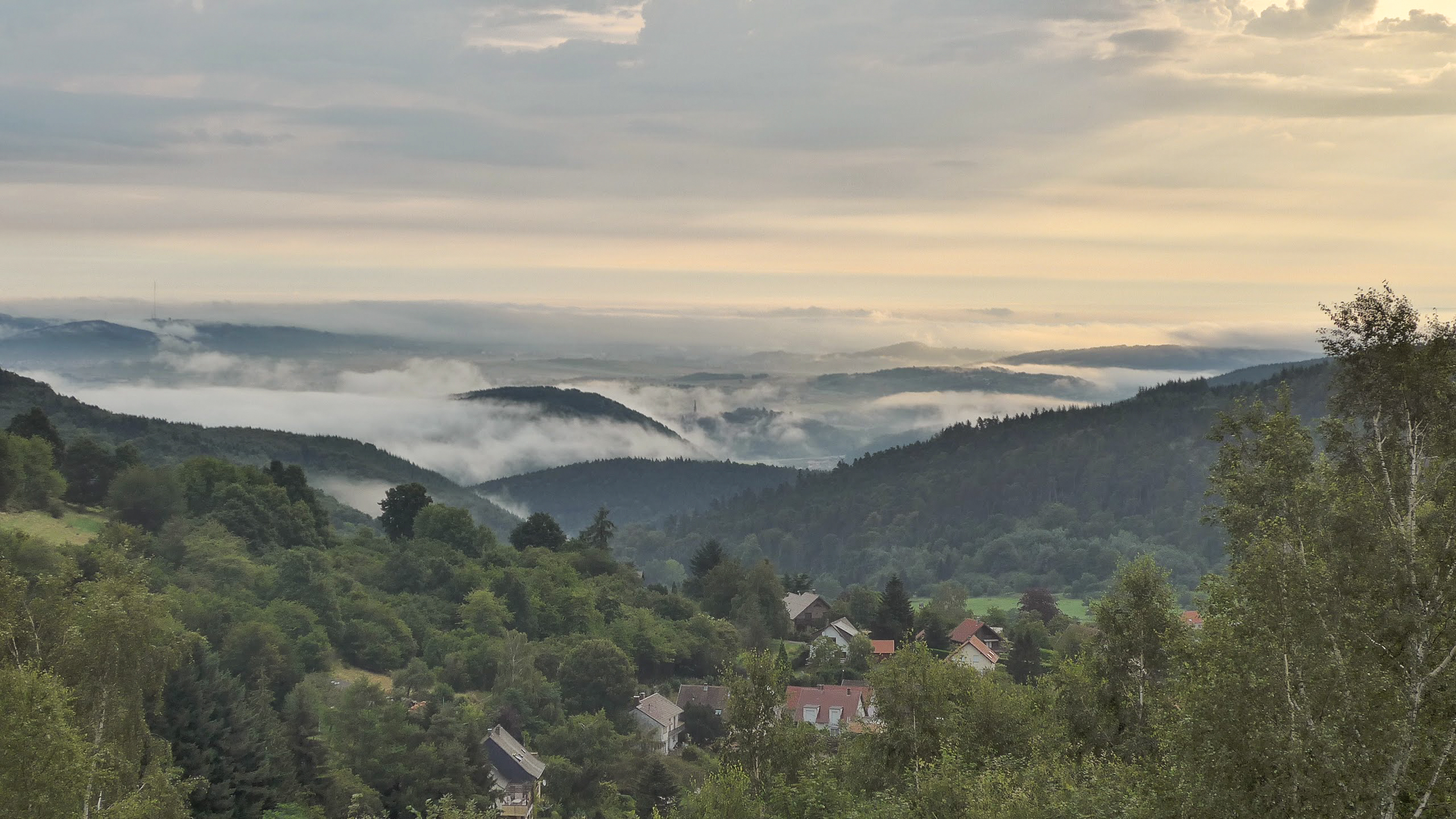 Elsass_Bike_2015-20