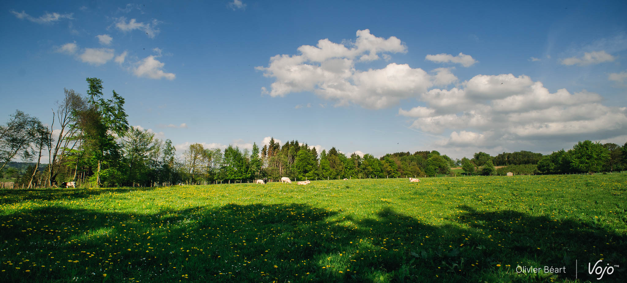 Raid_des_Hautes_Fagnes_Malmedy_Copyright_OBeart_VojoMag-23