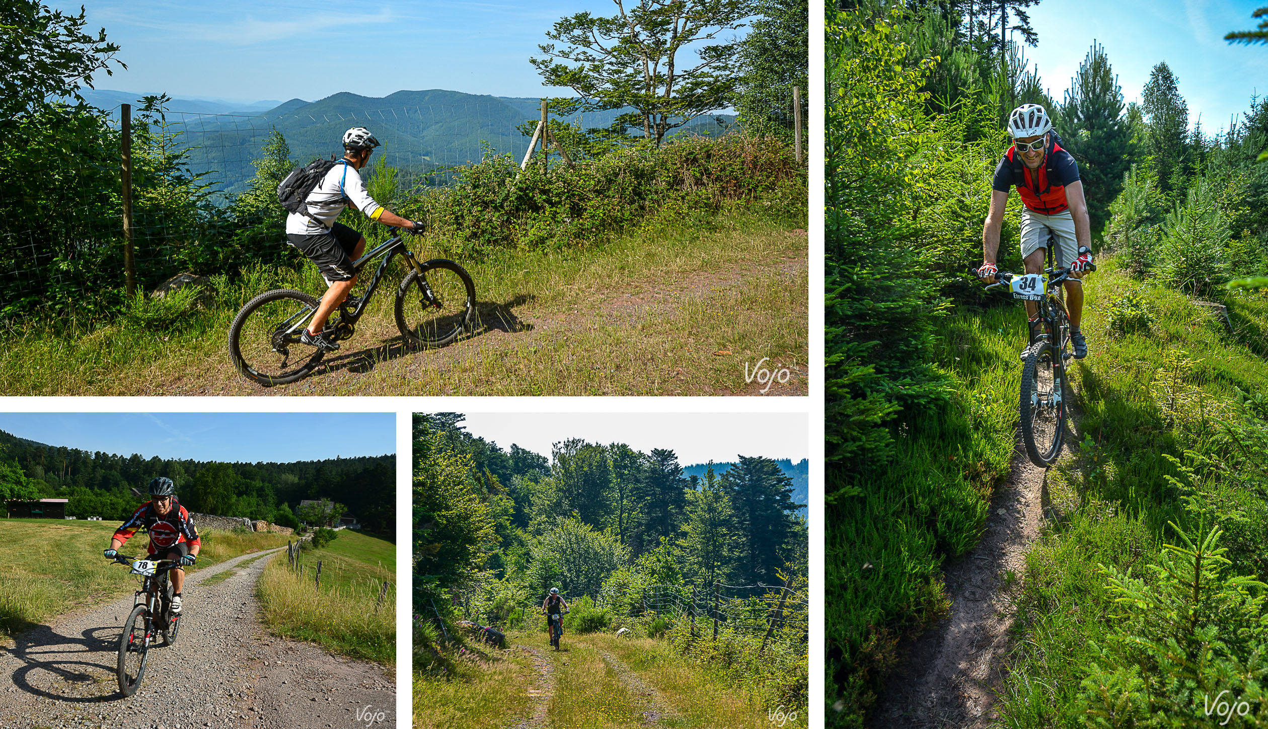 2-Elsass_Bike_Copyright_SVW_VojoMag-1