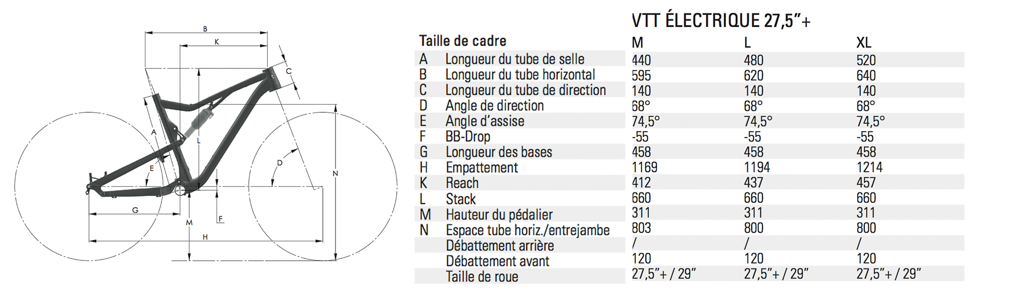 sans titre-13