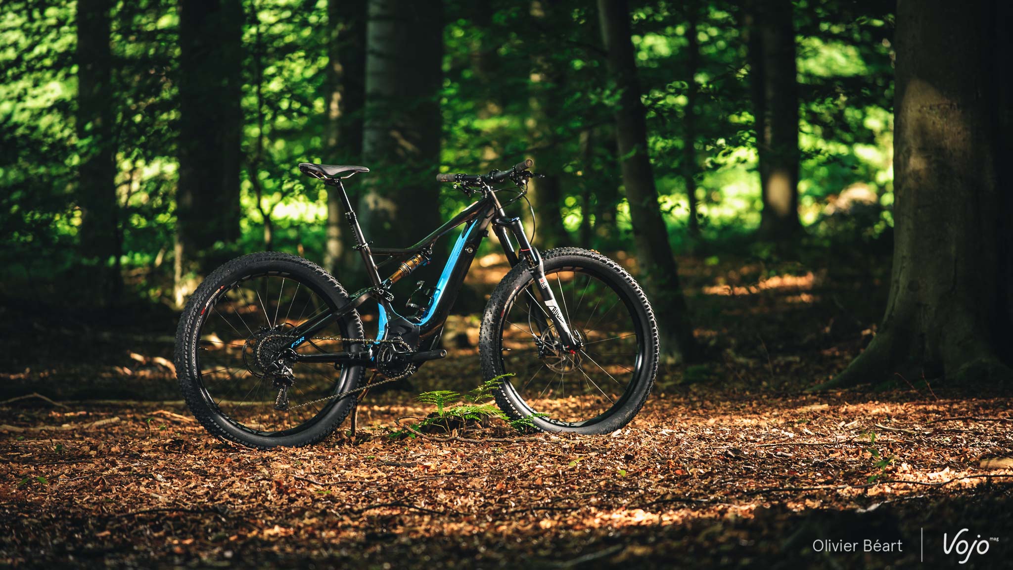 Specialized_Turbo_Levo_FSR_Copyright_Beart_VojoMag-8