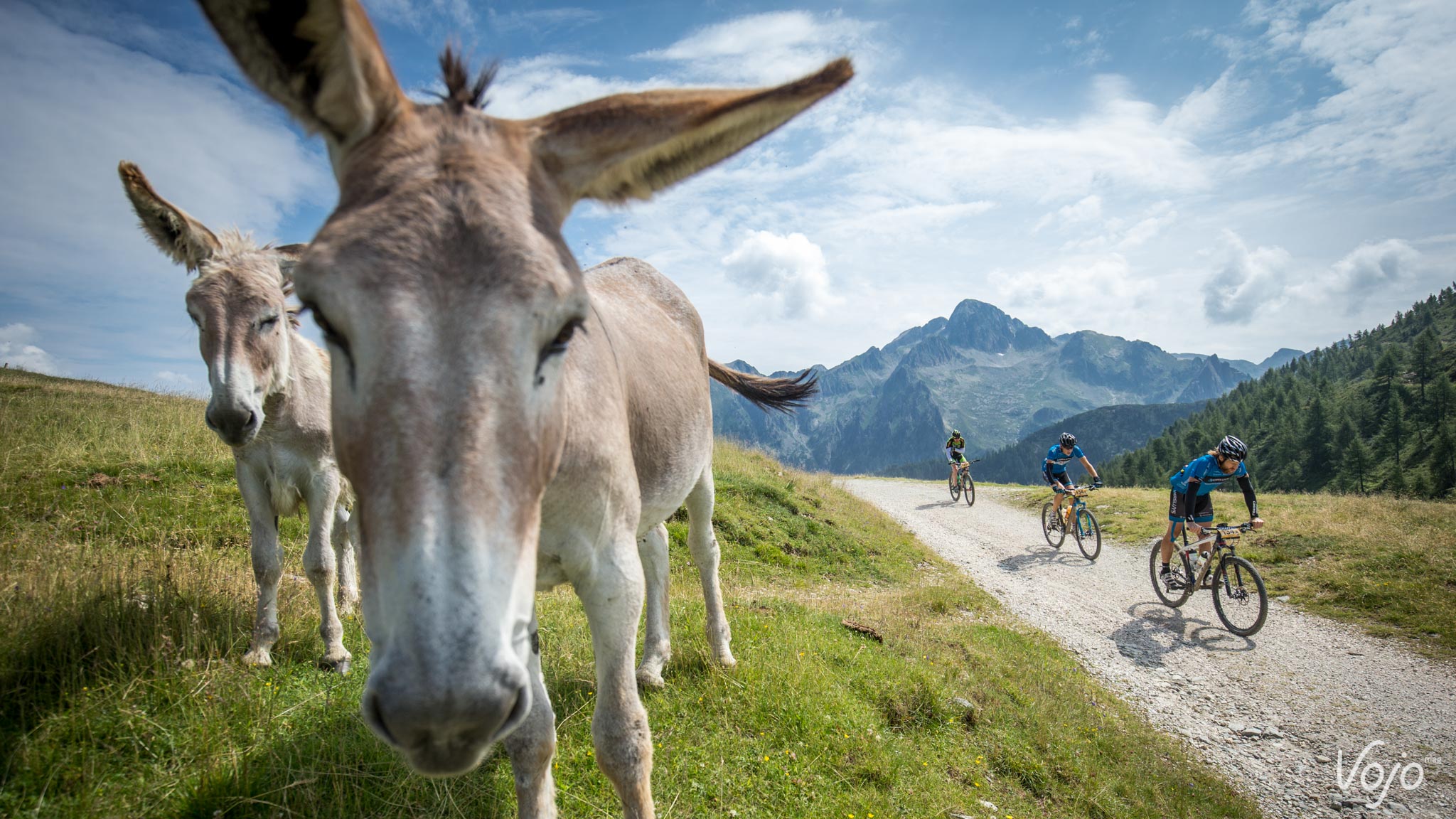 Craft BIKE Transalp powered by Sigma 2015