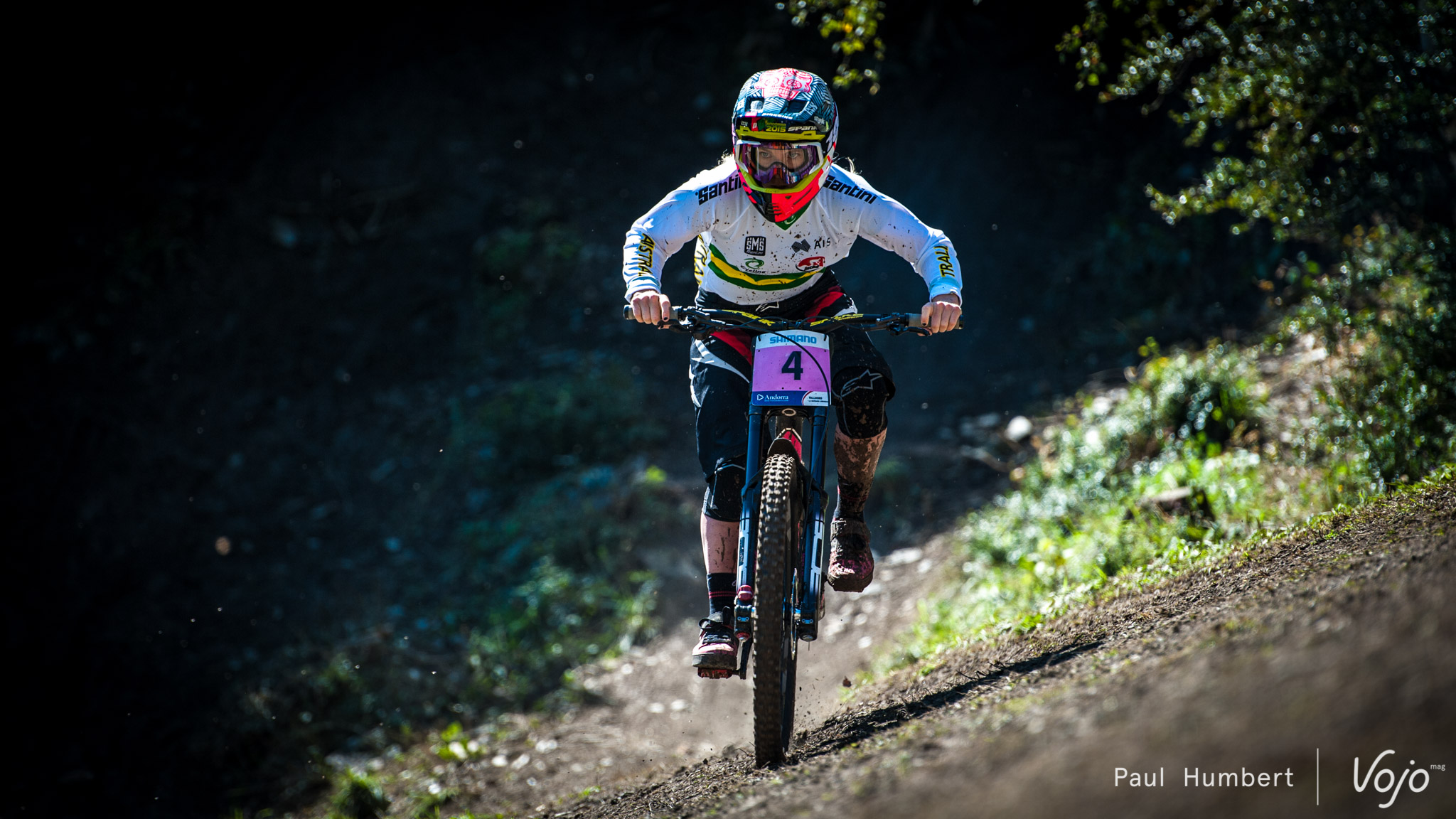 Worldchamps-2015-vojo-DH-22