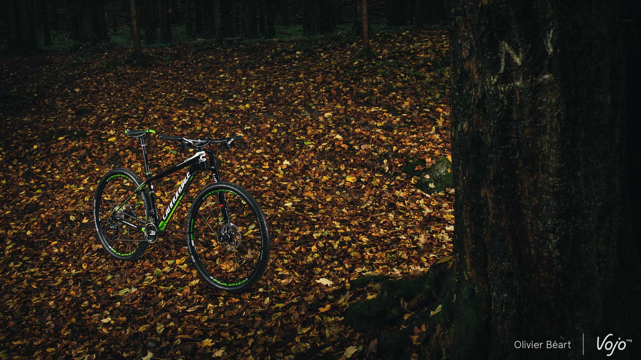 Cannondale_F-Si_Carbon_4_Test_Copyright_OBeart_VojoMag-6b