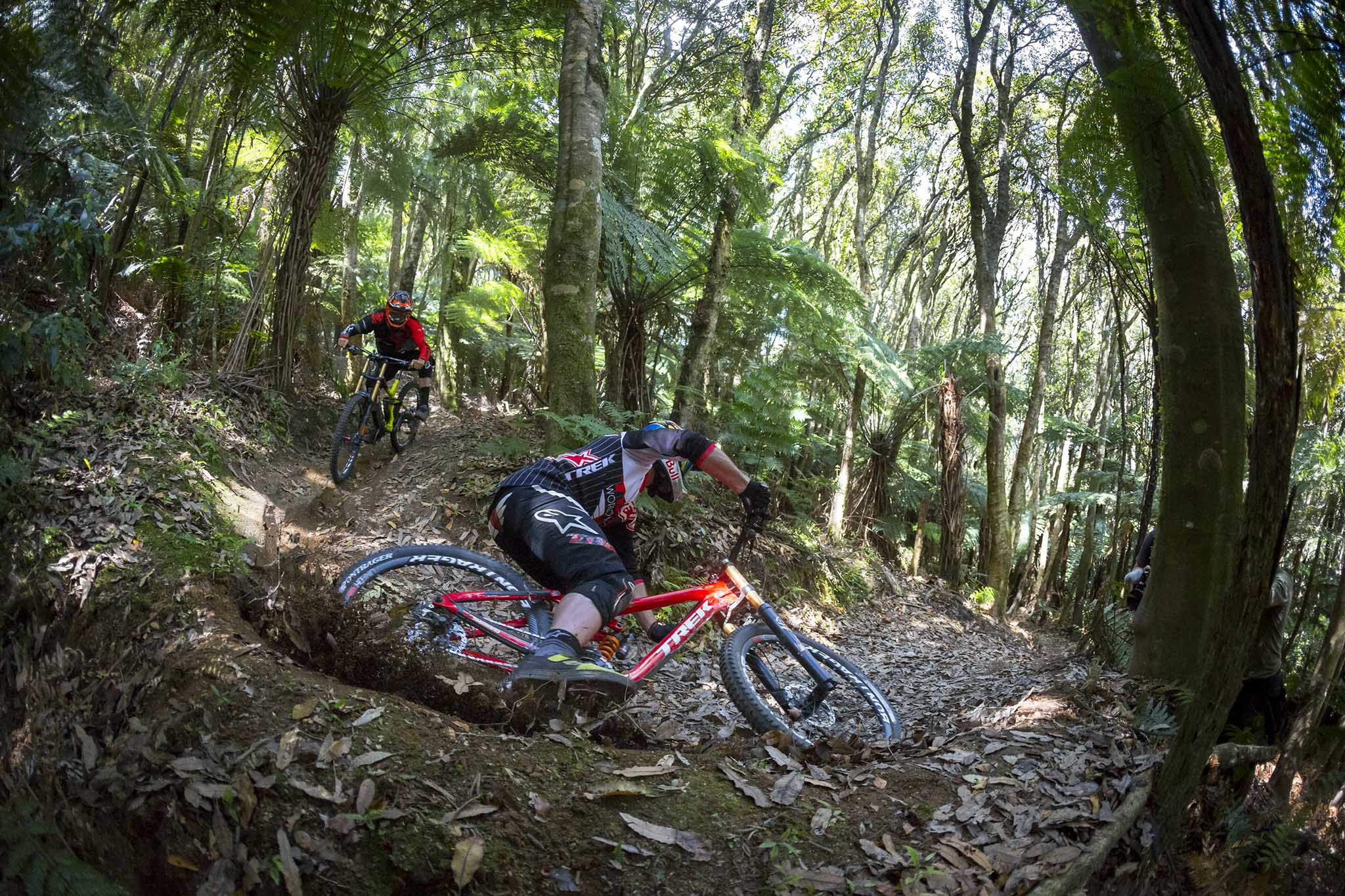 Battle Bulldog – Blenky à Rotorua