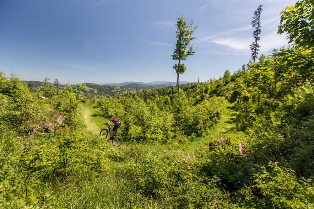 Beskidy MTB Trophy - la course par étapes made in Pologne