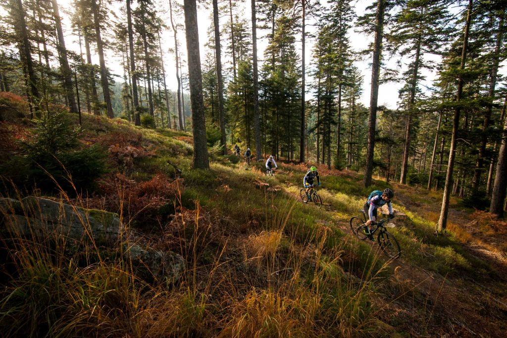 Road-Book : sur les traces de l'Elsass Bike avec Thomas Dietsch