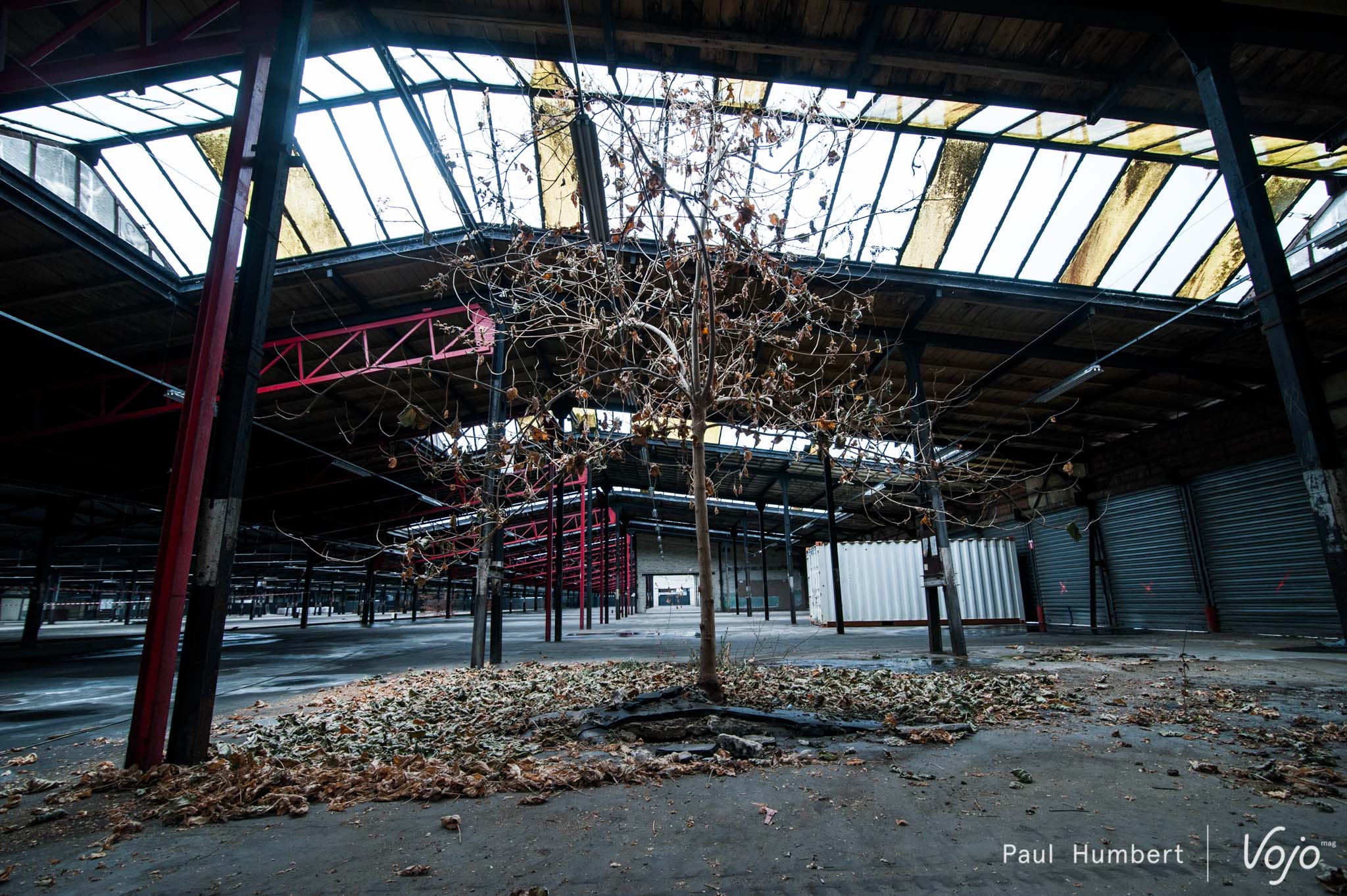 stride-bike-park-indoor-strasbourg-2016-vojo-paul-humbert-12