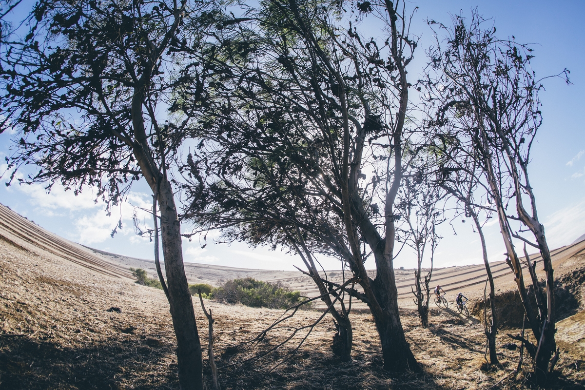 Photo by Ewald Sadie/Cape Epic/SPORTZPICS