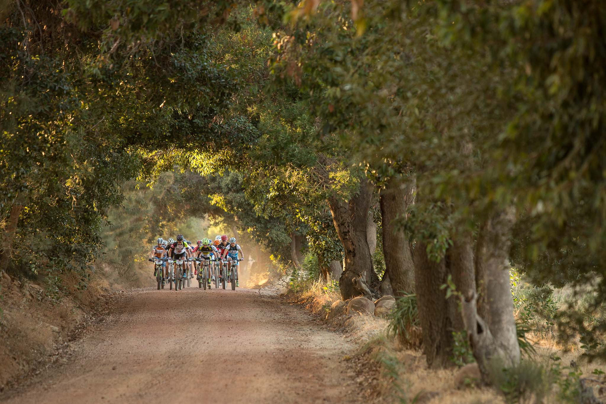 The ladies peloton during stage 1 of the 2016 Absa Cape Epic Mountain Bike stage race held from Saronsberg Wine Estate in Tulbagh, South Africa on the 14th March 2016 Photo by Sam Clark/Cape Epic/SPORTZPICS PLEASE ENSURE THE APPROPRIATE CREDIT IS GIVEN TO THE PHOTOGRAPHER AND SPORTZPICS ALONG WITH THE ABSA CAPE EPIC {ace2016}