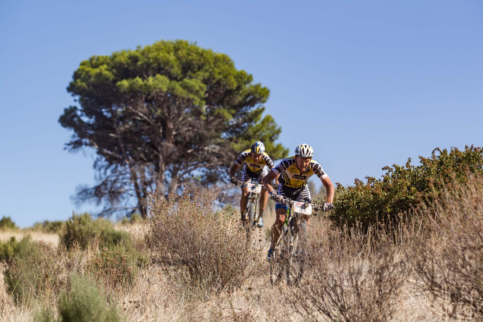Karl Platt and Urs Huber of Team Bulls 1 during stage 1 of the 2016 Absa Cape Epic Mountain Bike stage race held from Saronsberg Wine Estate in Tulbagh, South Africa on the 14th March 2016 Photo by Nick Muzik/Cape Epic/SPORTZPICS PLEASE ENSURE THE APPROPRIATE CREDIT IS GIVEN TO THE PHOTOGRAPHER AND SPORTZPICS ALONG WITH THE ABSA CAPE EPIC {ace2016}
