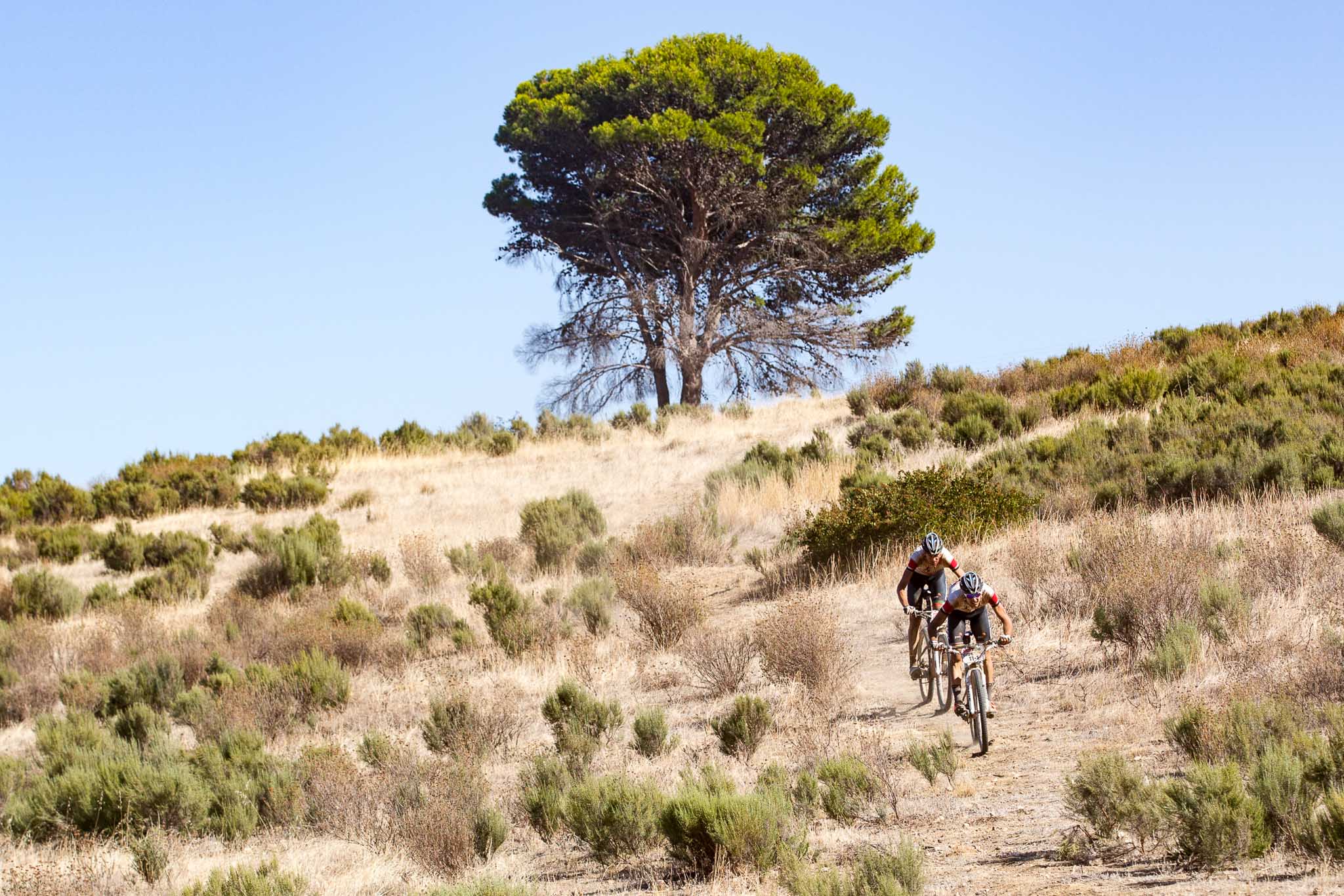 Photo by Nick Muzik/Cape Epic/SPORTZPICS