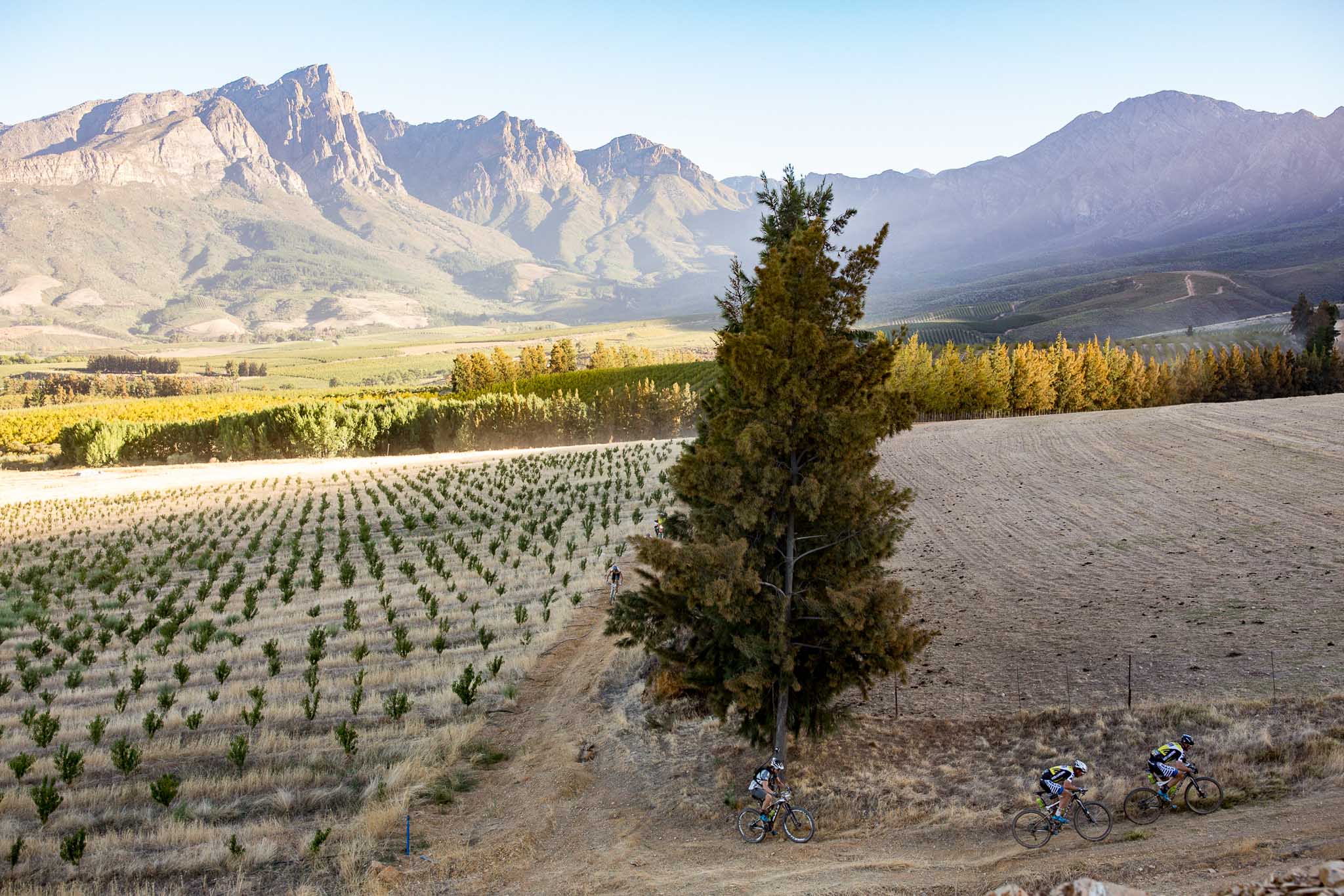 Photo by Nick Muzik/Cape Epic/SPORTZPICS