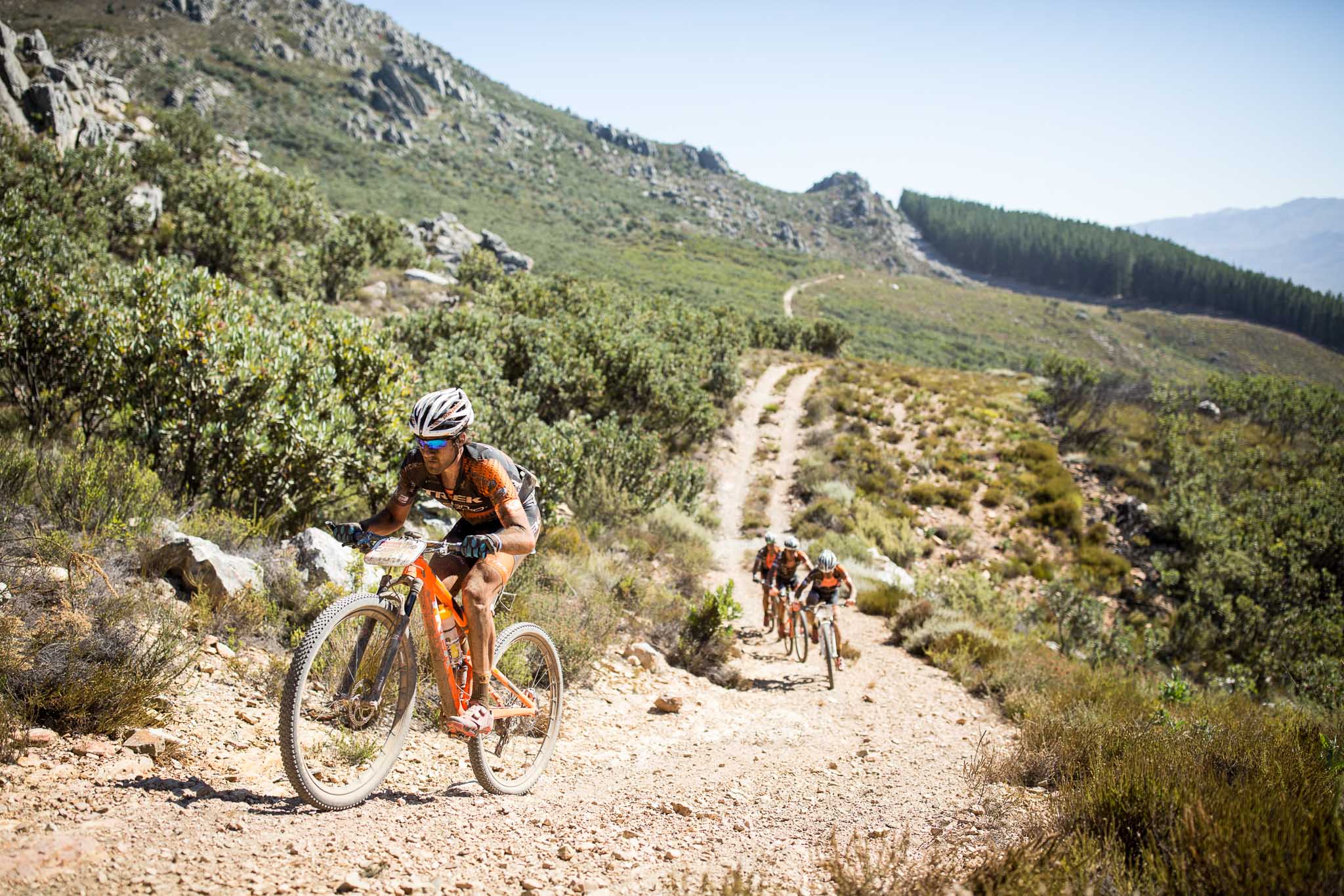 Samuele Porro and Damiano Ferraro of Team Trek-Selle San Marco A and Ivan Alvarez Gutierrez and Fabian Rabensteiner of Team Trek-Selle San Marco B during stage 2 of the 2016 Absa Cape Epic Mountain Bike stage race from Saronsberg Wine Estate in Tulbagh, South Africa on the 15th March 2016 Photo by Nick Muzik/Cape Epic/SPORTZPICS PLEASE ENSURE THE APPROPRIATE CREDIT IS GIVEN TO THE PHOTOGRAPHER AND SPORTZPICS ALONG WITH THE ABSA CAPE EPIC ace2016