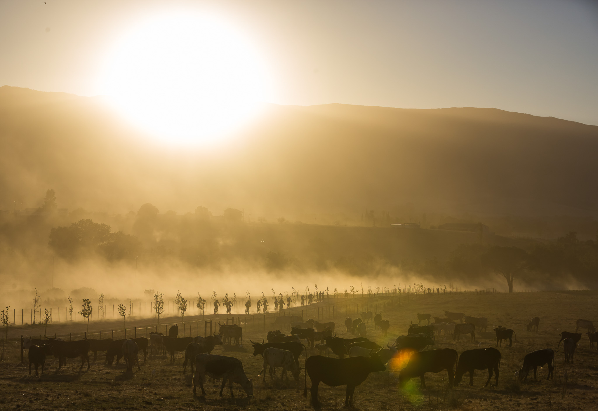Sunrise over the Lead riders during stage 1 of the 2016 Absa Cape Epic Mountain Bike stage race held from Saronsberg Wine Estate in Tulbagh, South Africa on the 14th March 2016 Photo by Dominic Barnardt/Cape Epic/SPORTZPICS PLEASE ENSURE THE APPROPRIATE CREDIT IS GIVEN TO THE PHOTOGRAPHER AND SPORTZPICS ALONG WITH THE ABSA CAPE EPIC ace2016