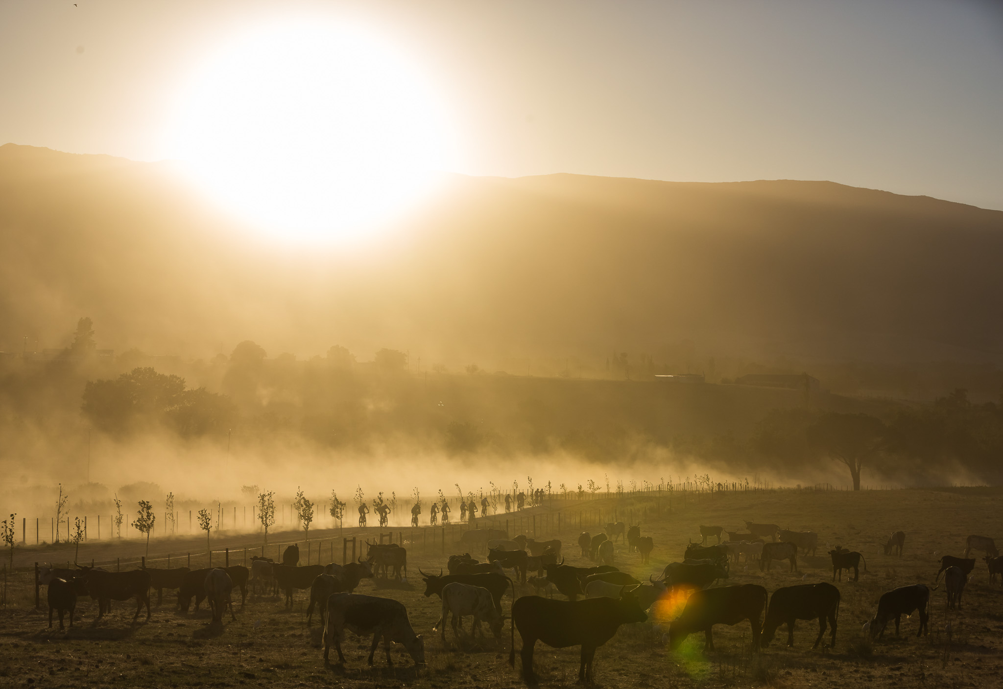 Photo by Dominic Barnardt/Cape Epic/SPORTZPICS