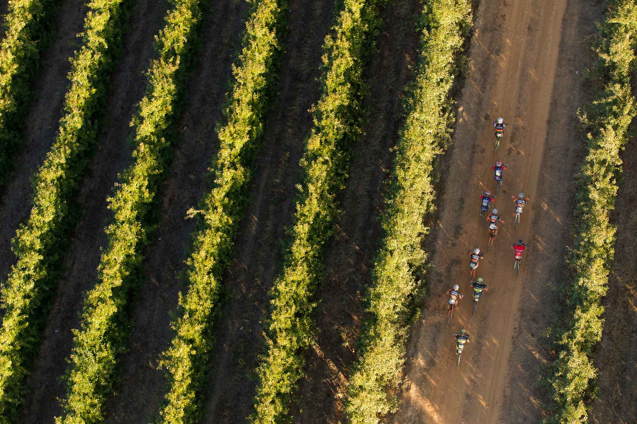 Riders during stage 1 of the 2016 Absa Cape Epic Mountain Bike stage race held from Saronsberg Wine Estate in Tulbagh, South Africa on the 14th March 2016 Photo by Gary Perkin/Cape Epic/SPORTZPICS PLEASE ENSURE THE APPROPRIATE CREDIT IS GIVEN TO THE PHOTOGRAPHER AND SPORTZPICS ALONG WITH THE ABSA CAPE EPIC {ace2016}