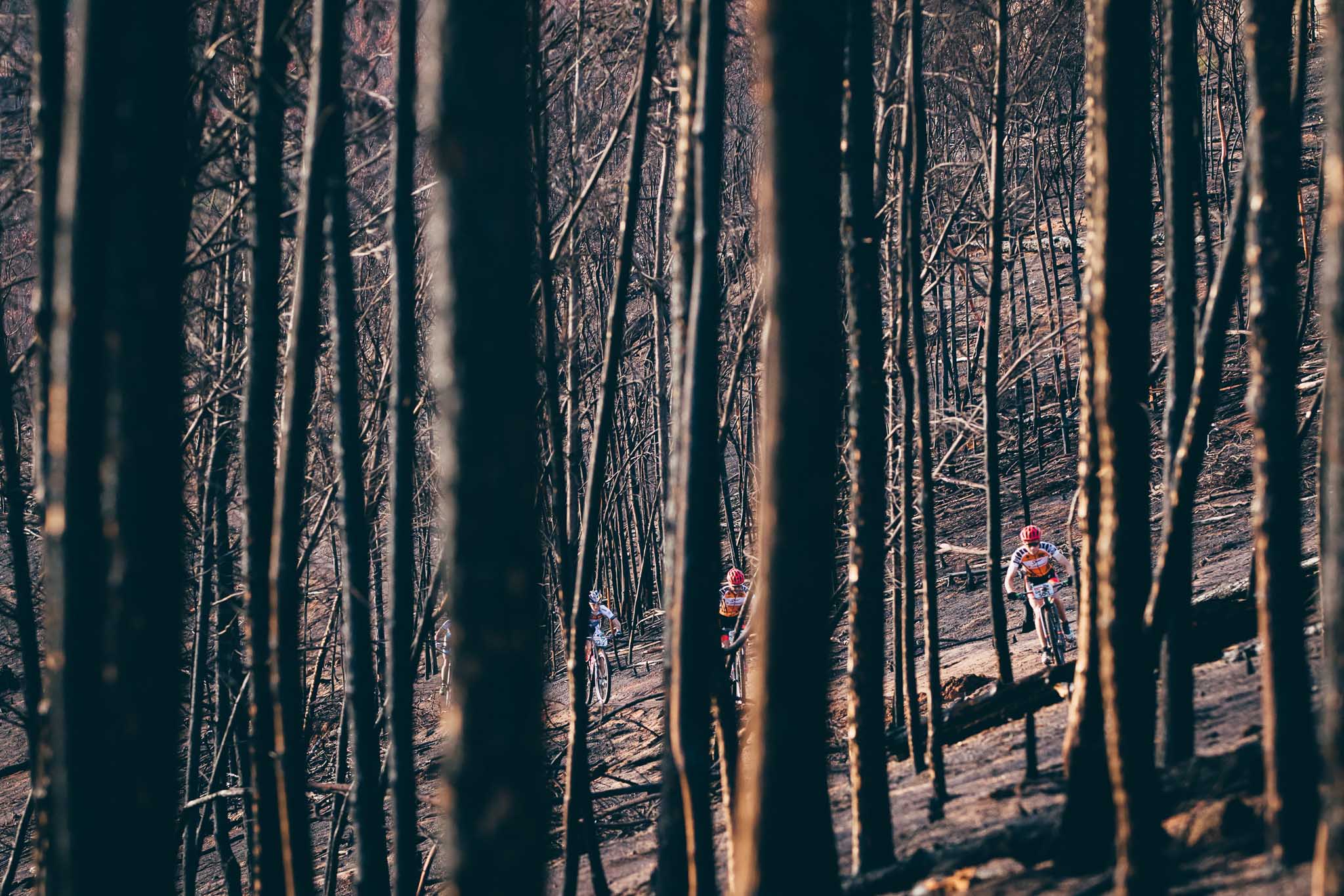 Photo by Ewald Sadie/Cape Epic/SPORTZPICS