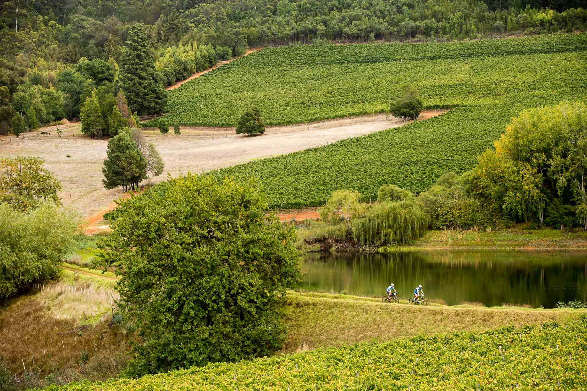 Photo by Sam Clark/Cape Epic/SPORTZPICS