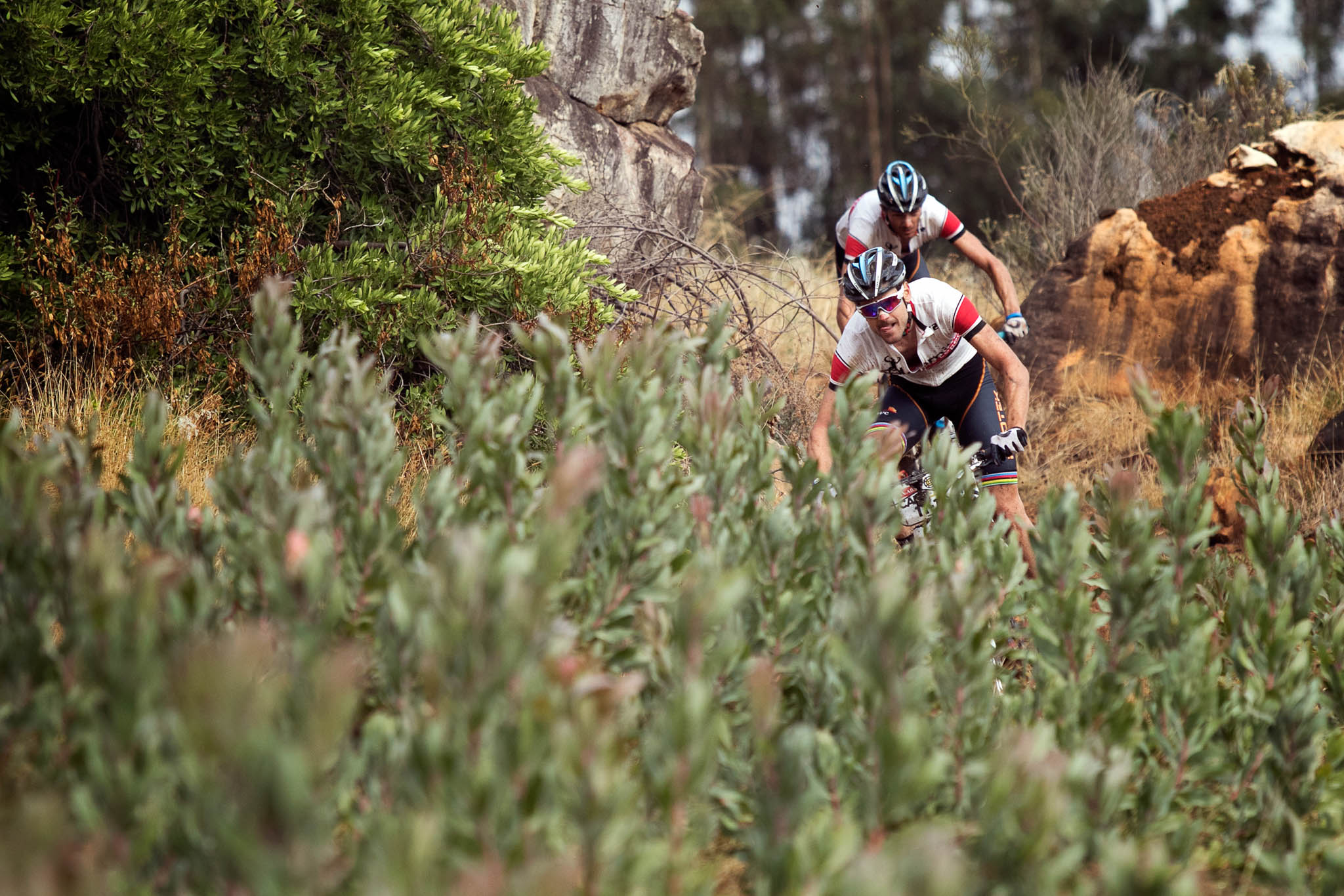 Photo by Mark Sampson/Cape Epic/SPORTZPICS