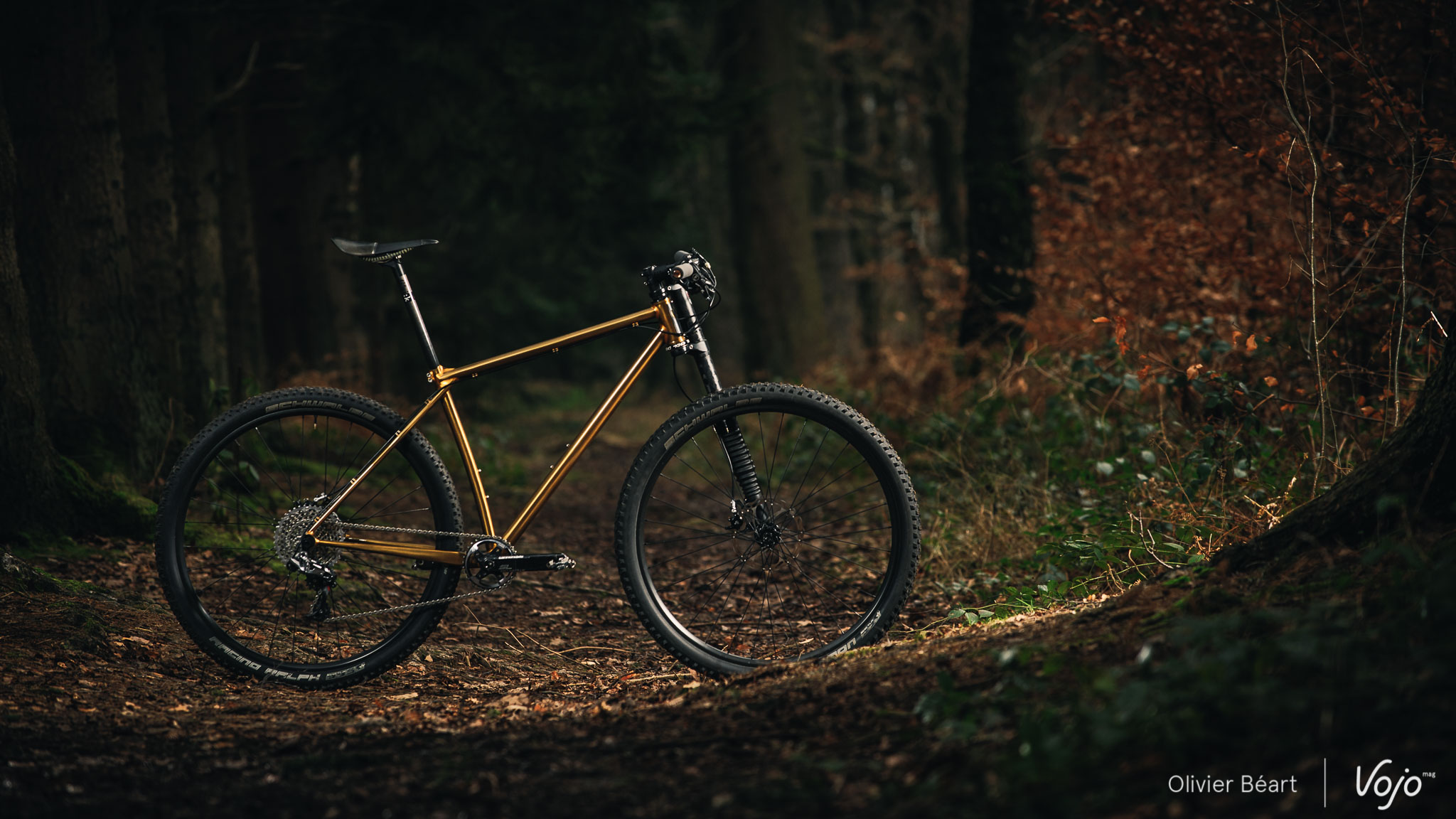 Victoire_Cycles_Gold_Copyright_OBeart_VojoMag-13