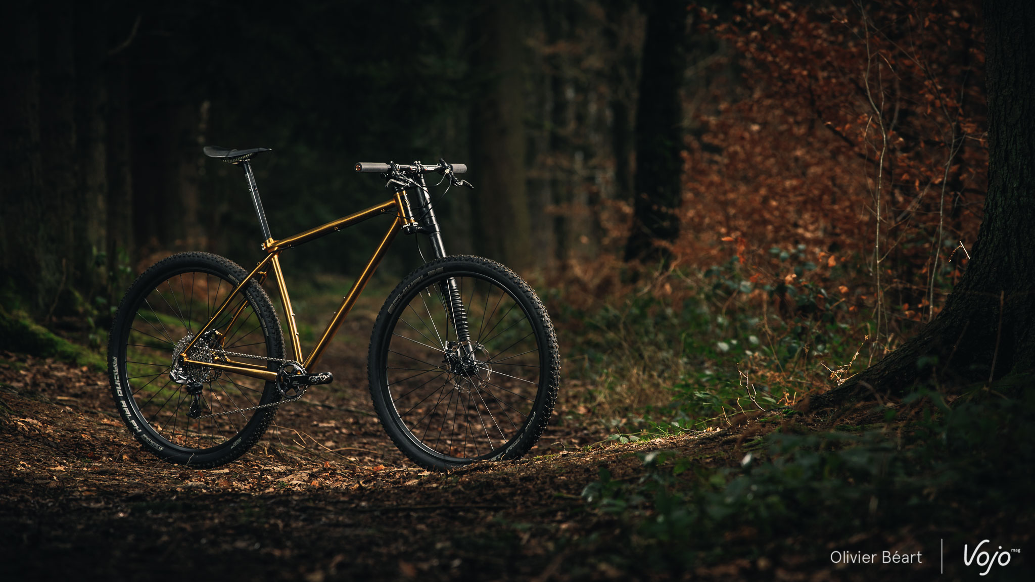 Victoire_Cycles_Gold_Copyright_OBeart_VojoMag-14