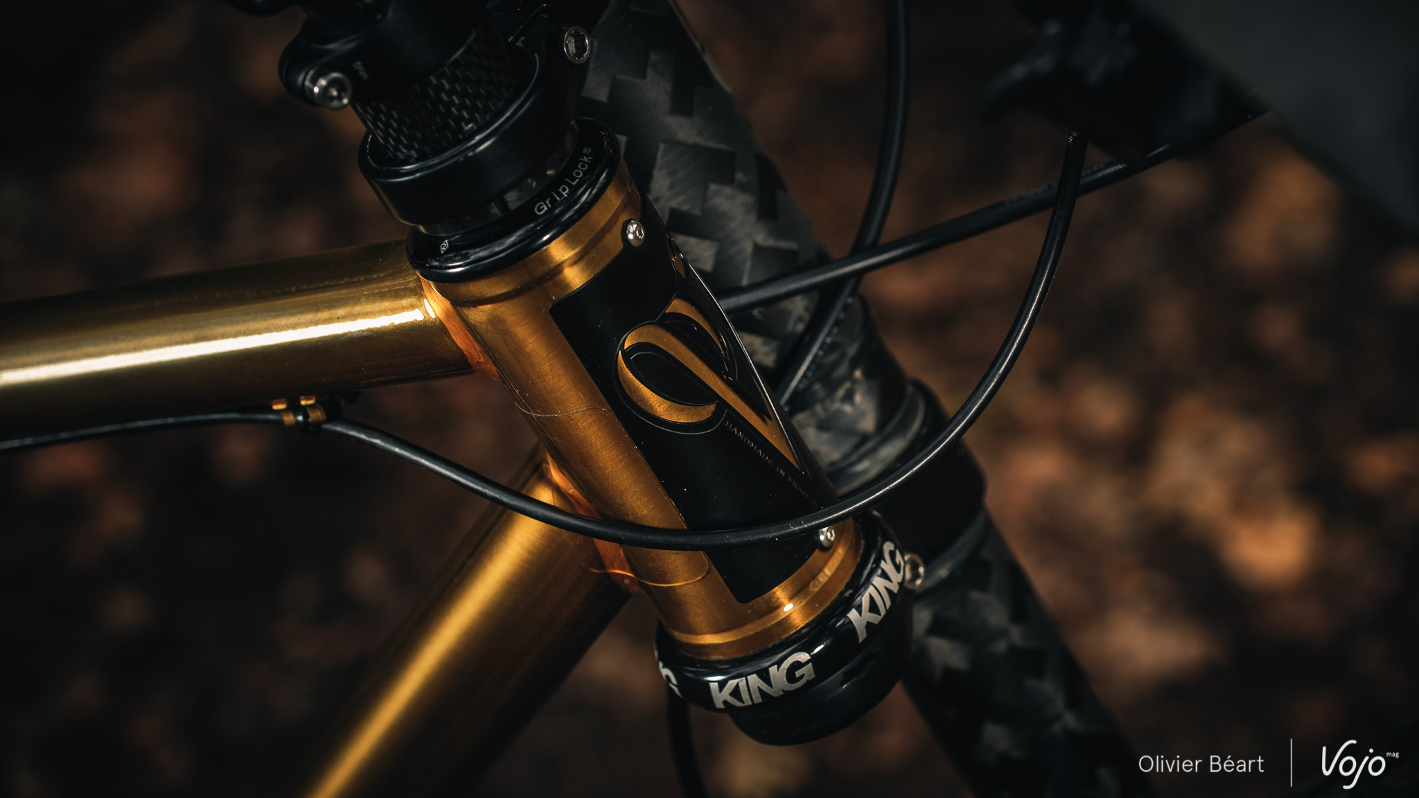 Victoire_Cycles_Gold_Copyright_OBeart_VojoMag-15