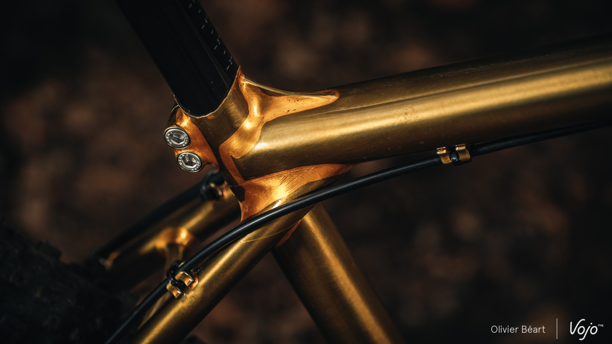 Victoire_Cycles_Gold_Copyright_OBeart_VojoMag-16