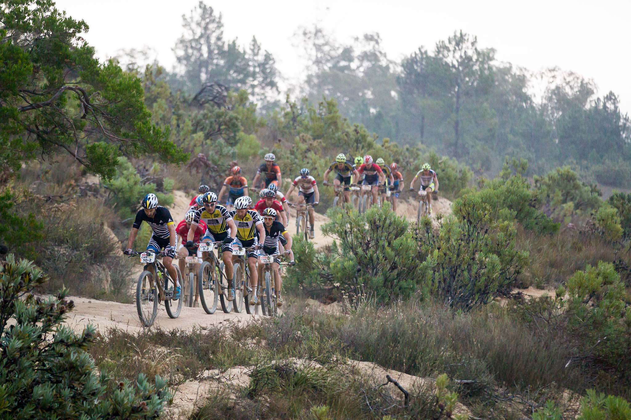 Photo by Nick Muzik/Cape Epic/SPORTZPICS