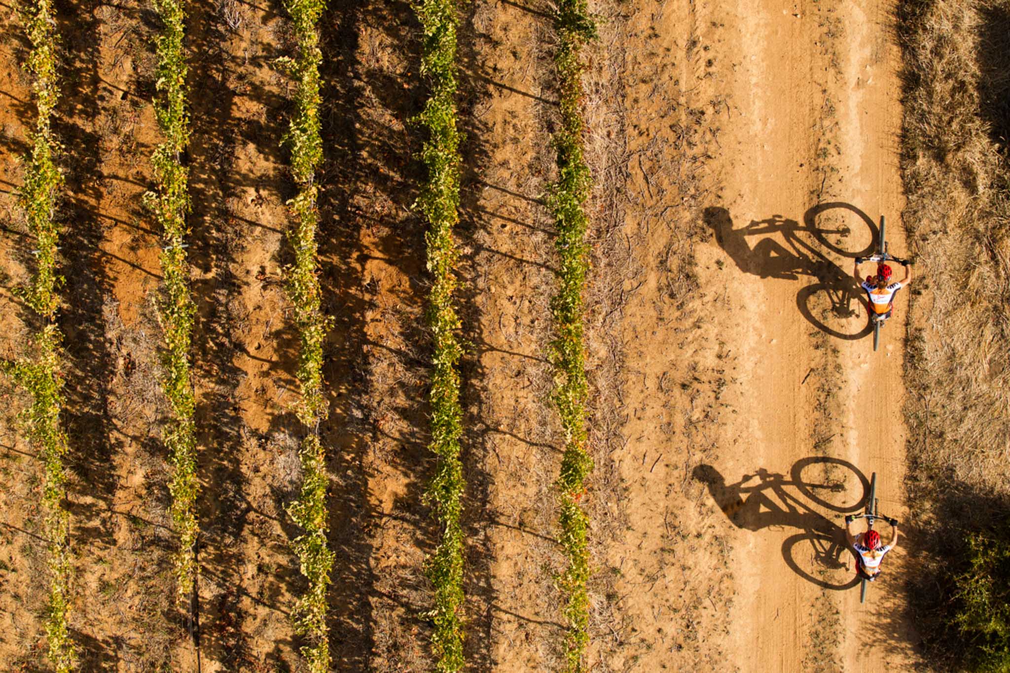 Photo by Gary Perkin/Cape Epic/SPORTZPICS