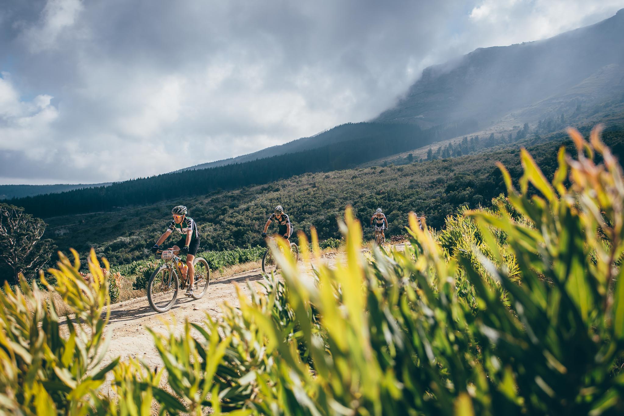 Photo by Ewald Sadie/Cape Epic/SPORTZPICS