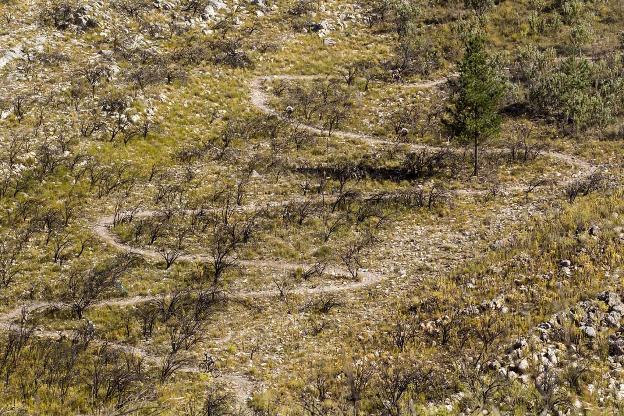 Riders during stage 2 of the 2016 Absa Cape Epic Mountain Bike stage race from Saronsberg Wine Estate in Tulbagh, South Africa on the 15th March 2016 Photo by Nick Muzik/Cape Epic/SPORTZPICS PLEASE ENSURE THE APPROPRIATE CREDIT IS GIVEN TO THE PHOTOGRAPHER AND SPORTZPICS ALONG WITH THE ABSA CAPE EPIC ace2016