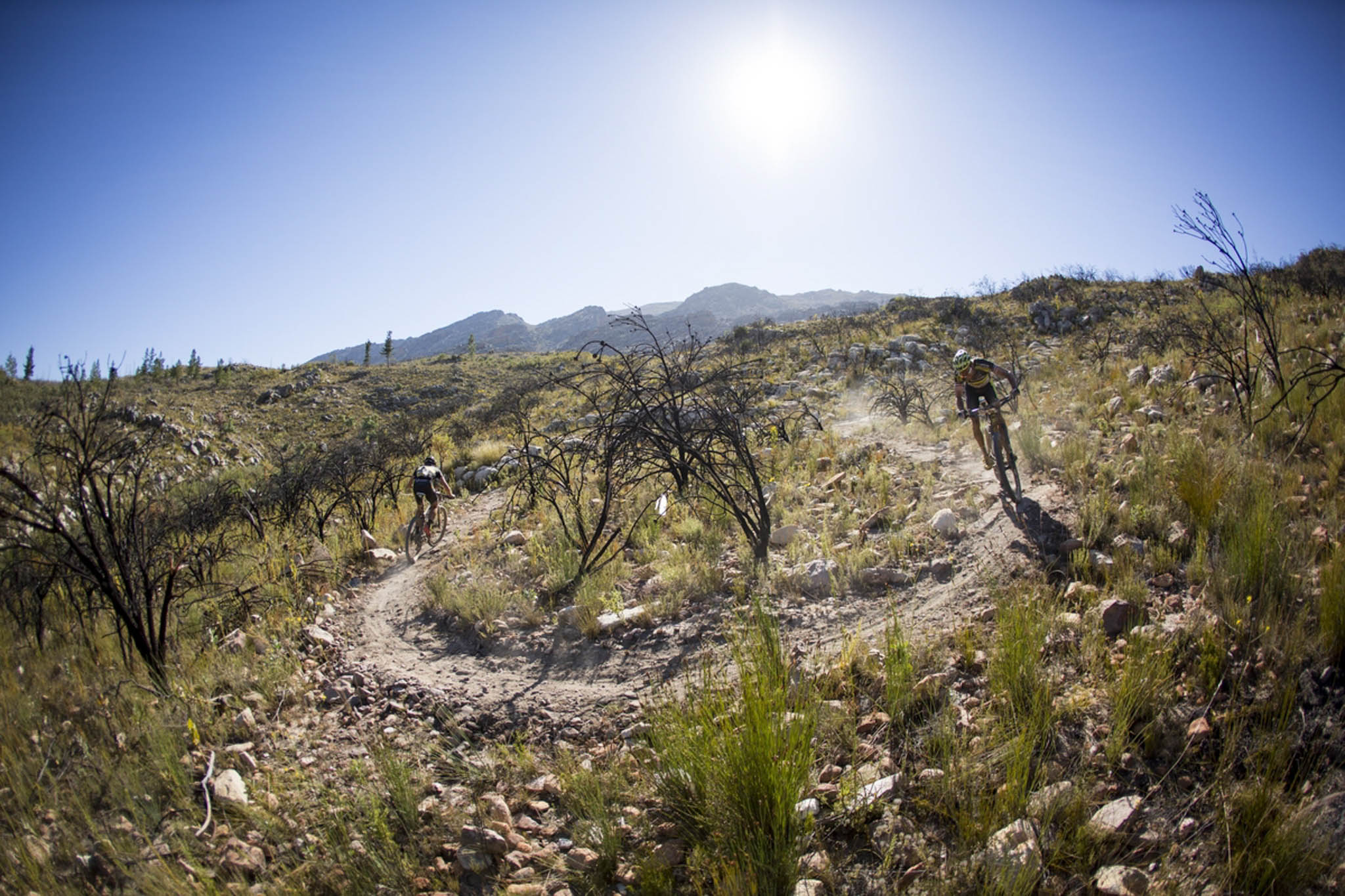 Photo by Nick Muzik/Cape Epic/SPORTZPICS