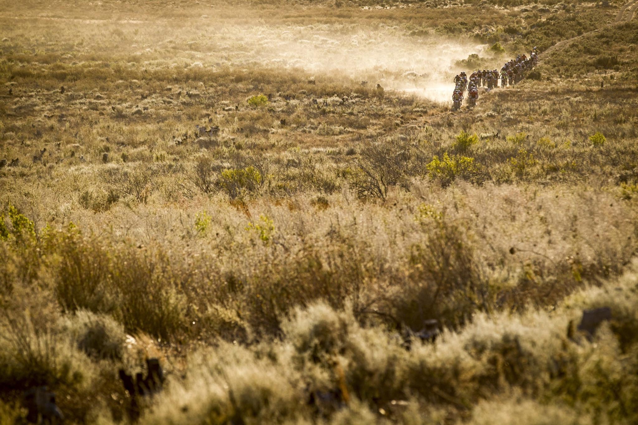 Photo by Nick Muzik/Cape Epic/SPORTZPICS