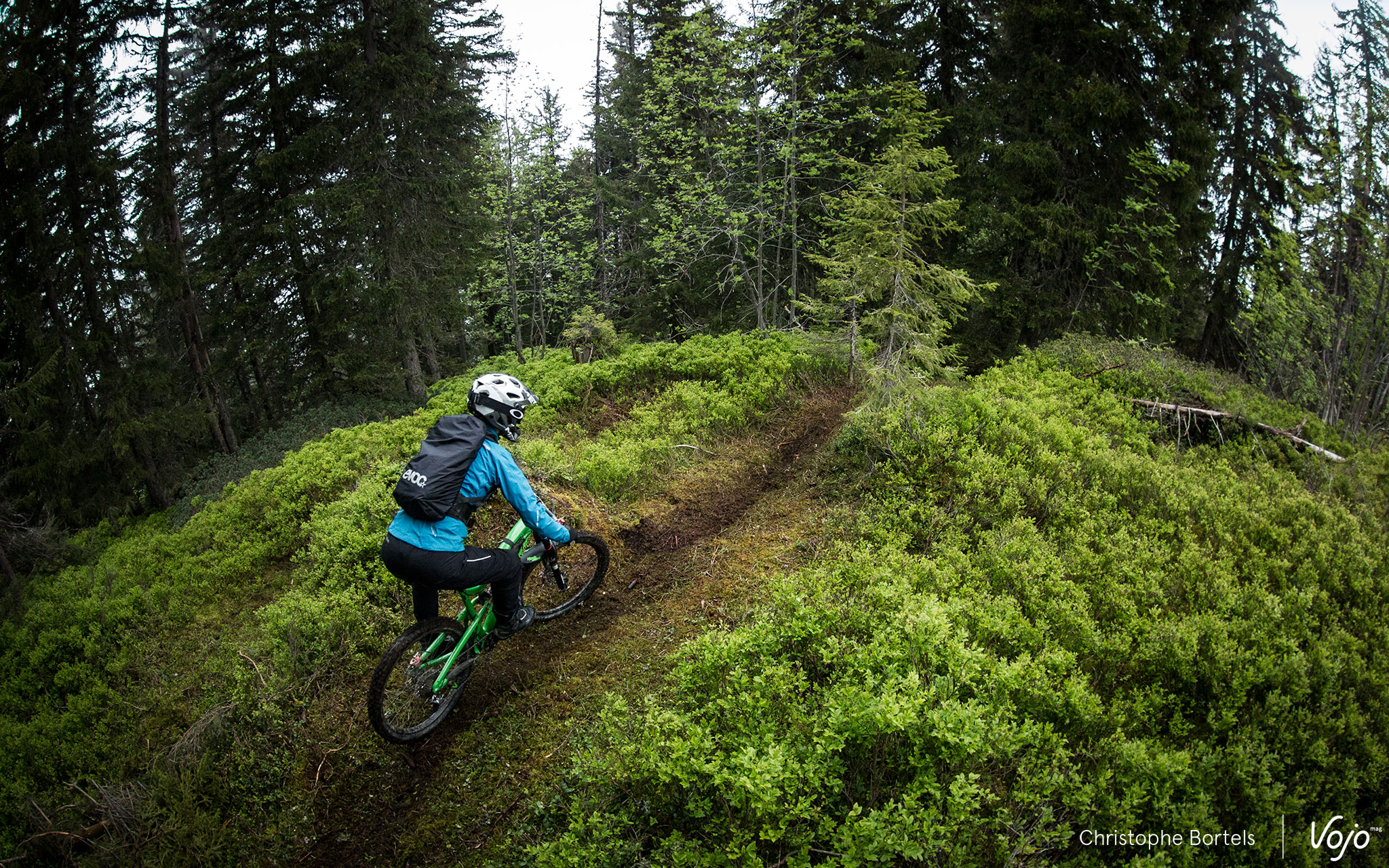 Mi montagnes russes, mi pumptrack géante, la liaison commune pour rallier la Bucheronne et la Faucheuse avait été fraîchement tracée dans les myrtillers et a donné le sourire à tous les pilotes qui se sont aventurés jusque là !