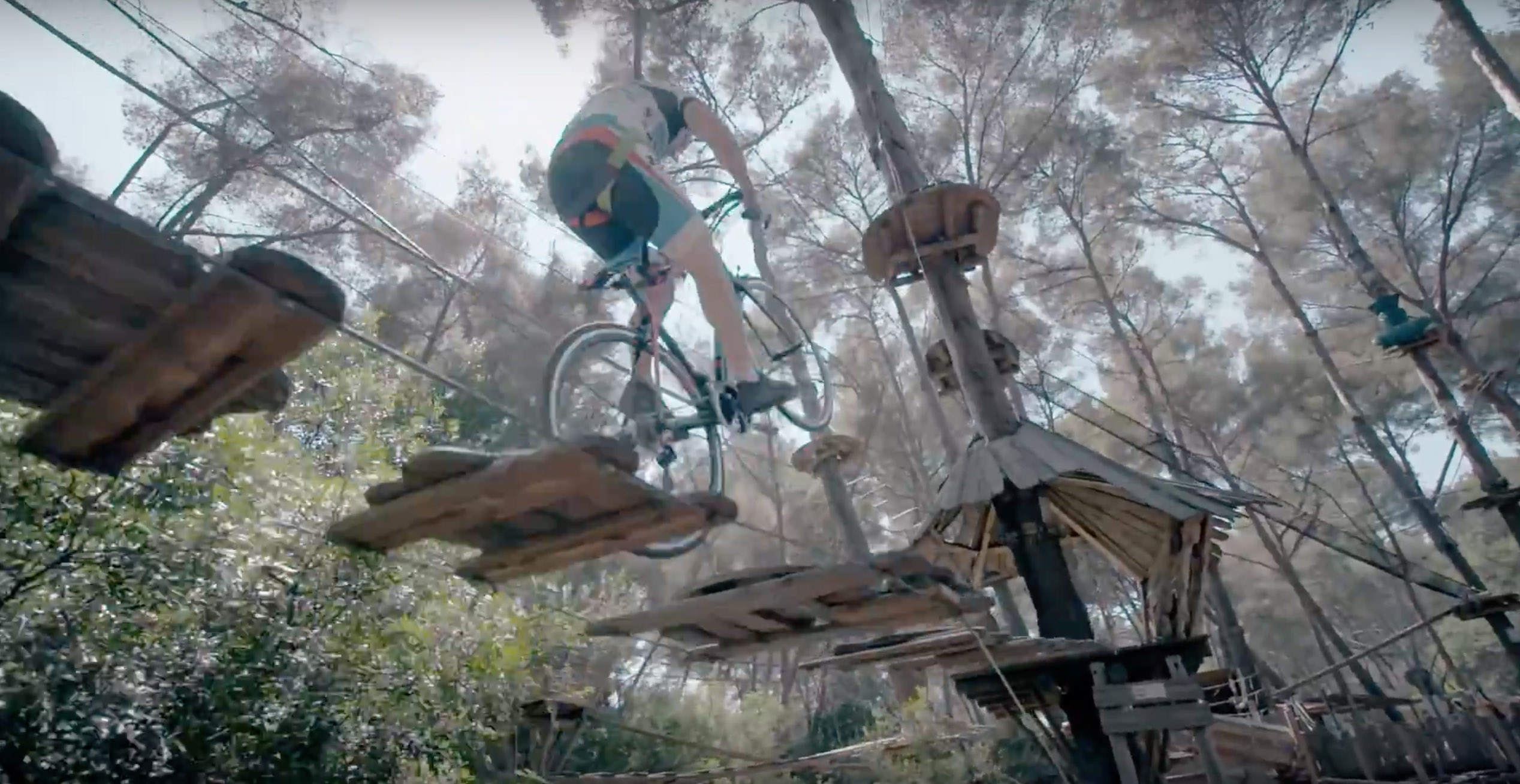 Aurélien Fontenoy – Road Bike Forest