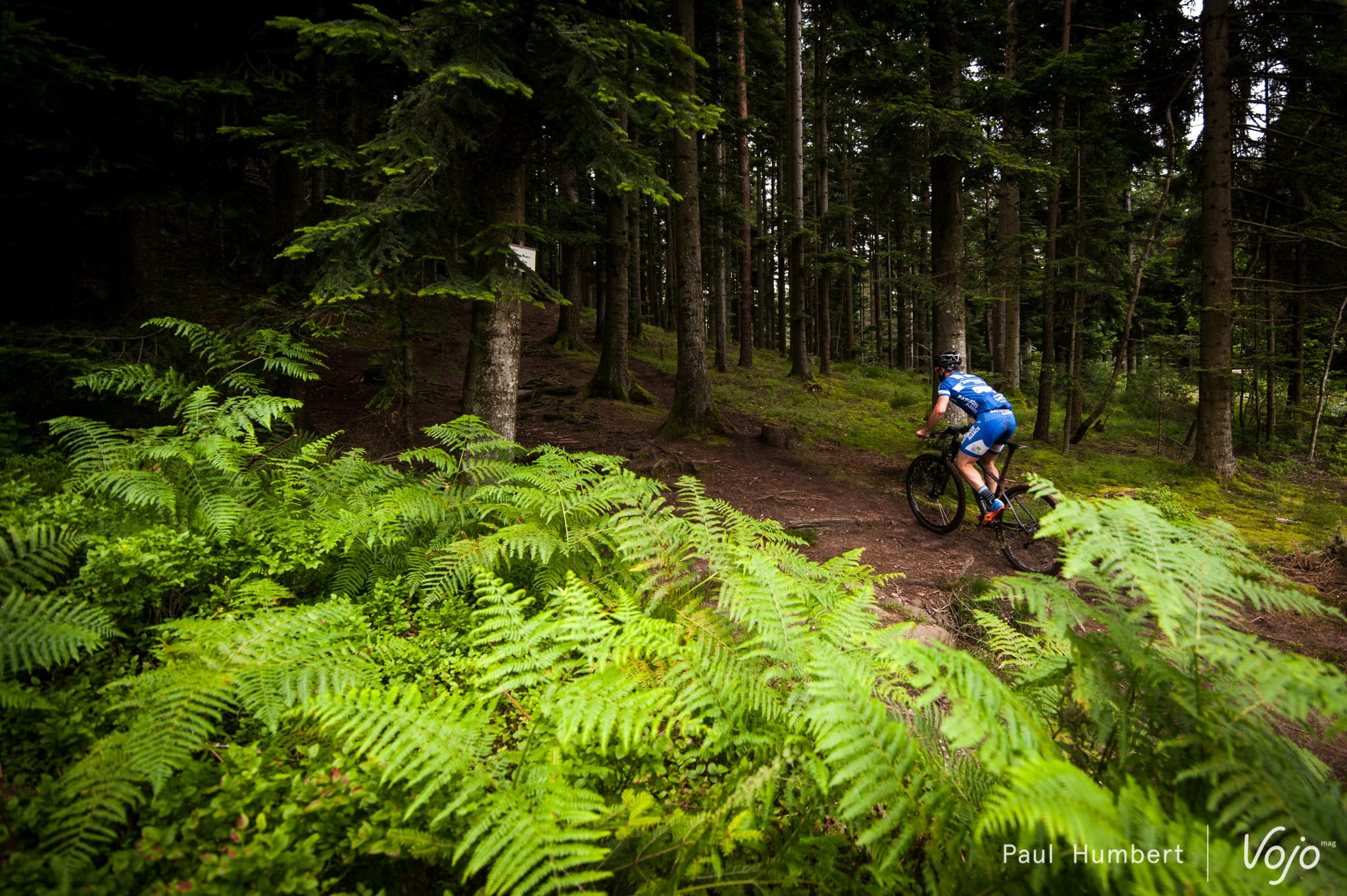 elsass-bike-vojo-2016-paul-humbert-46